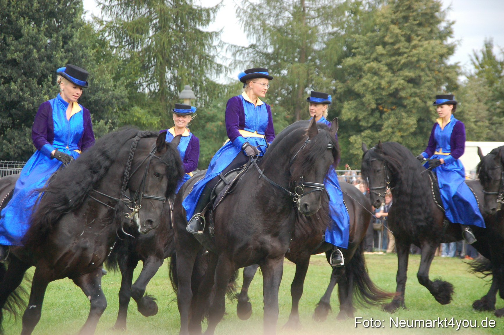 0082 Pferde Fohlenschau 200807