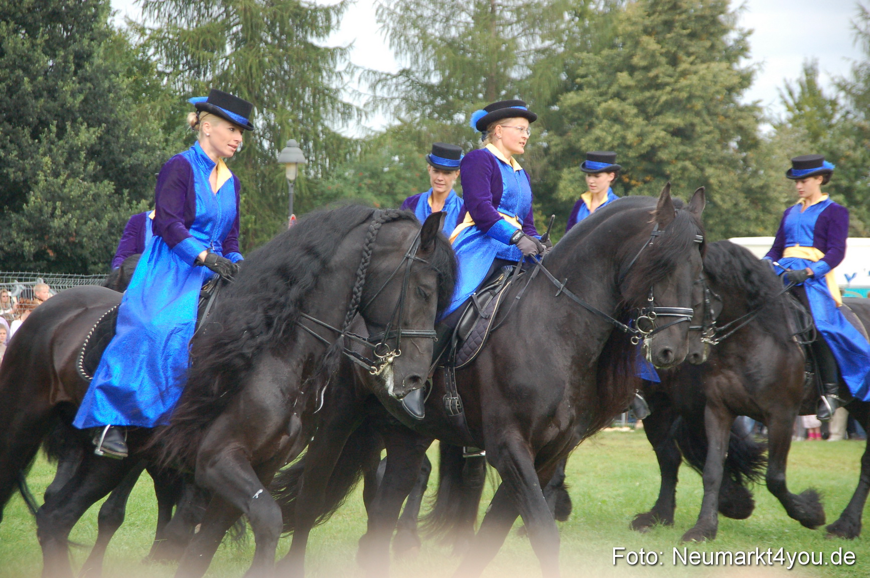 0083 Pferde Fohlenschau 200807