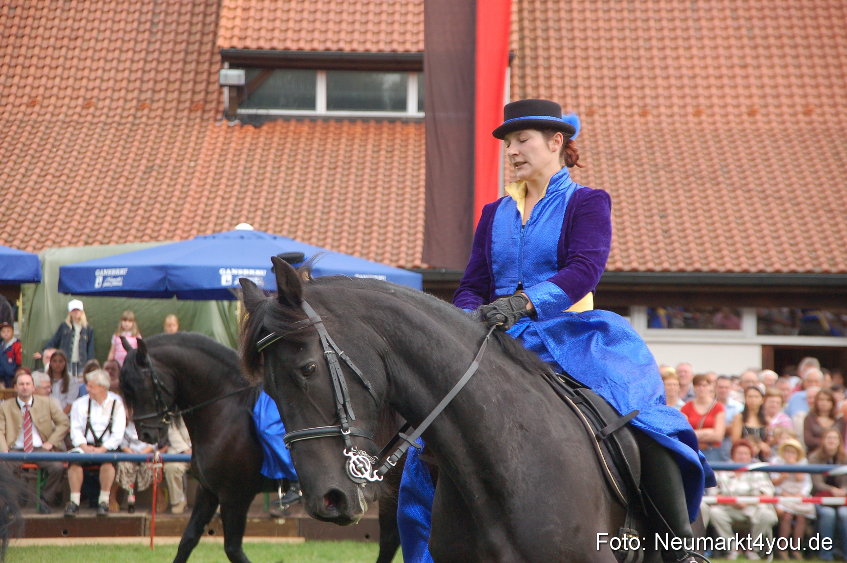 0084 Pferde Fohlenschau 200807