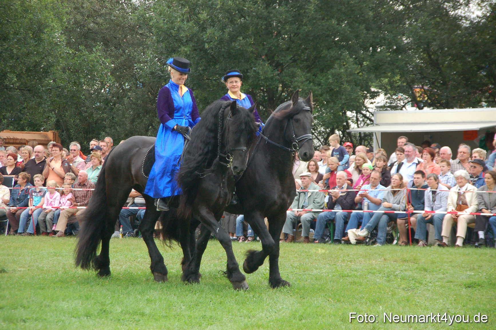 0085 Pferde Fohlenschau 200807