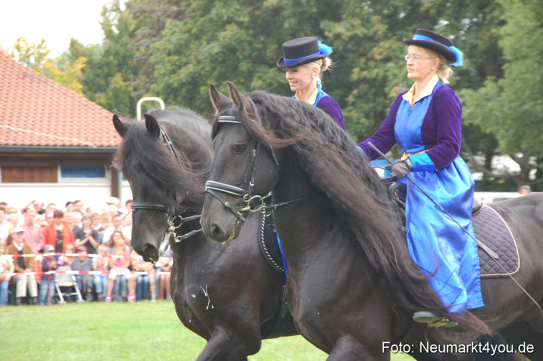0088 Pferde Fohlenschau 200807