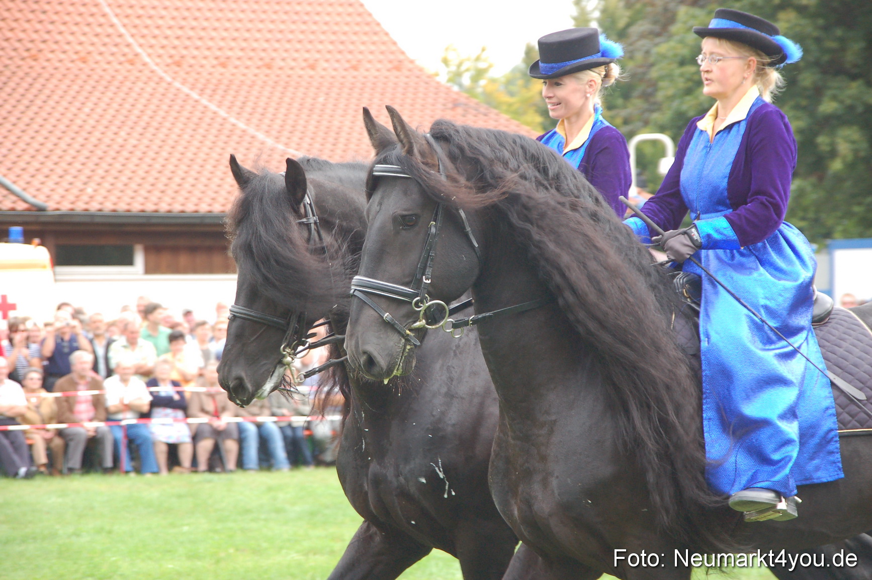0089 Pferde Fohlenschau 200807