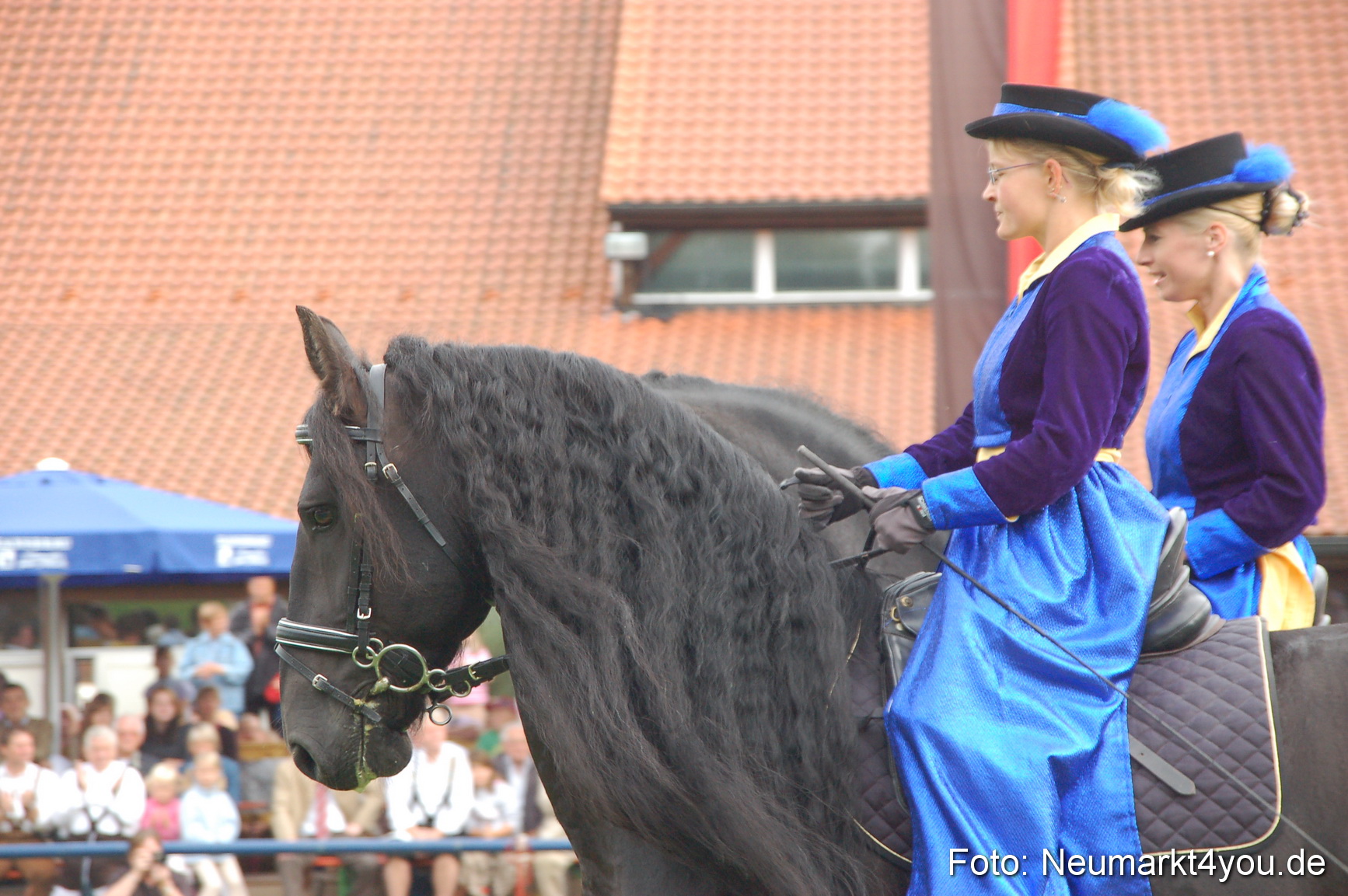 0092 Pferde Fohlenschau 200807