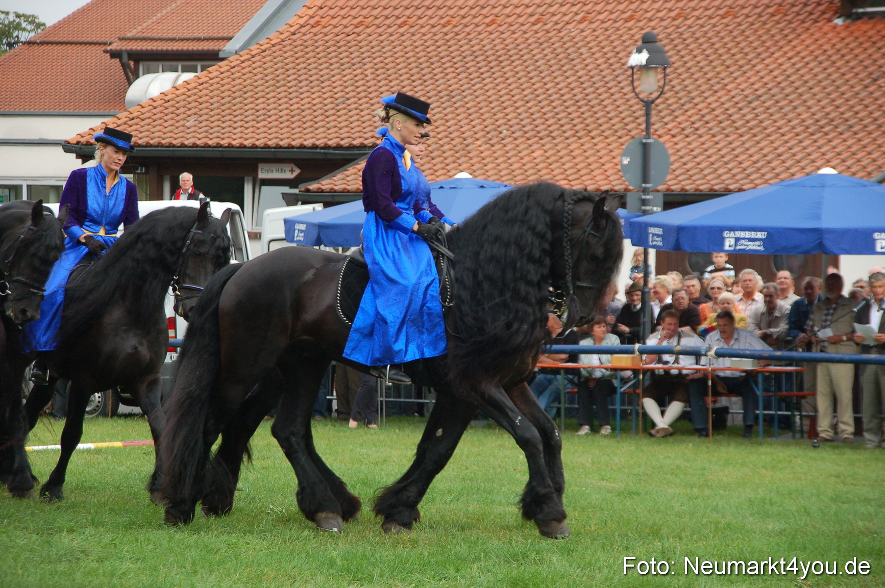0094 Pferde Fohlenschau 200807