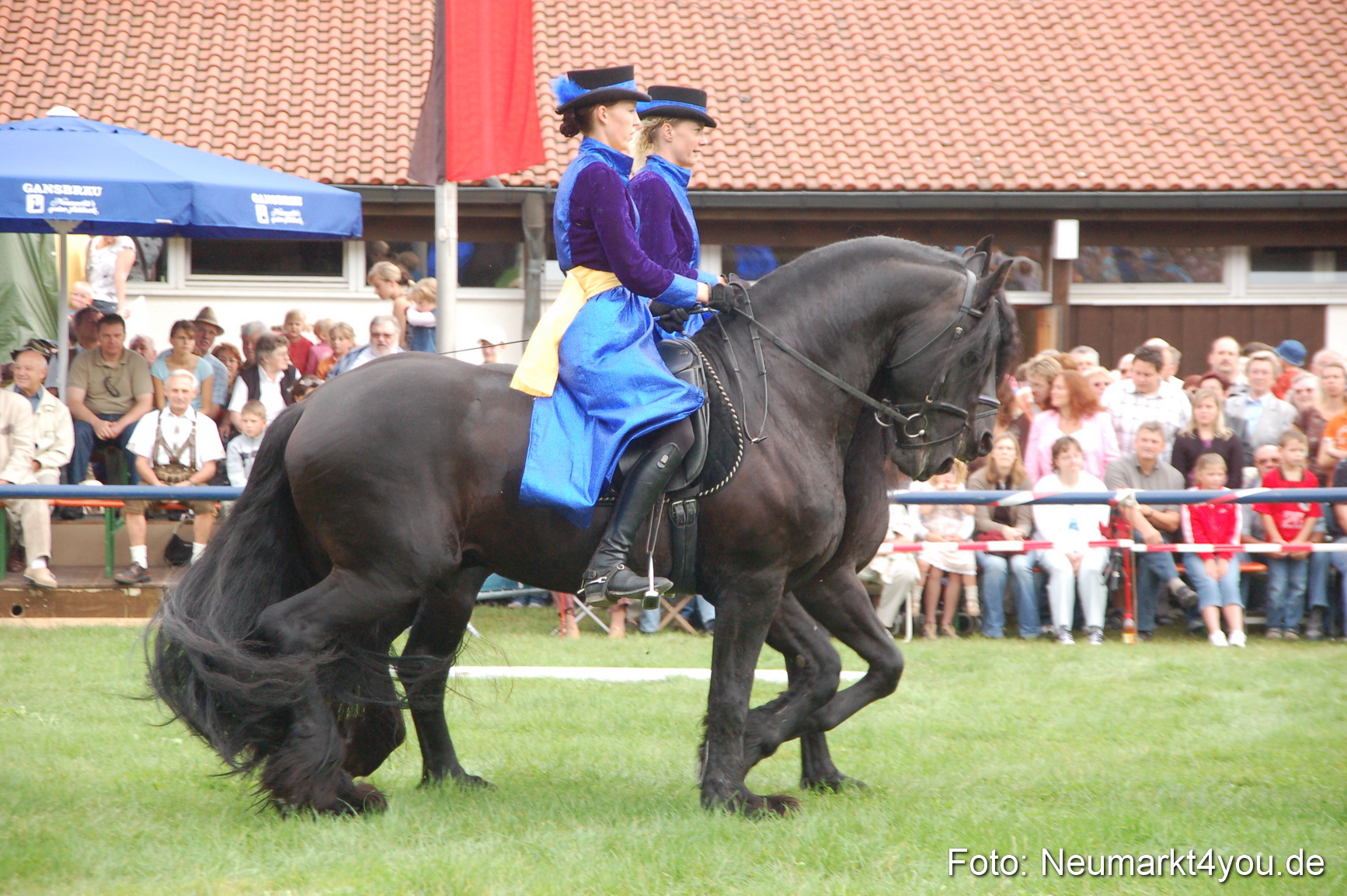 0095 Pferde Fohlenschau 200807