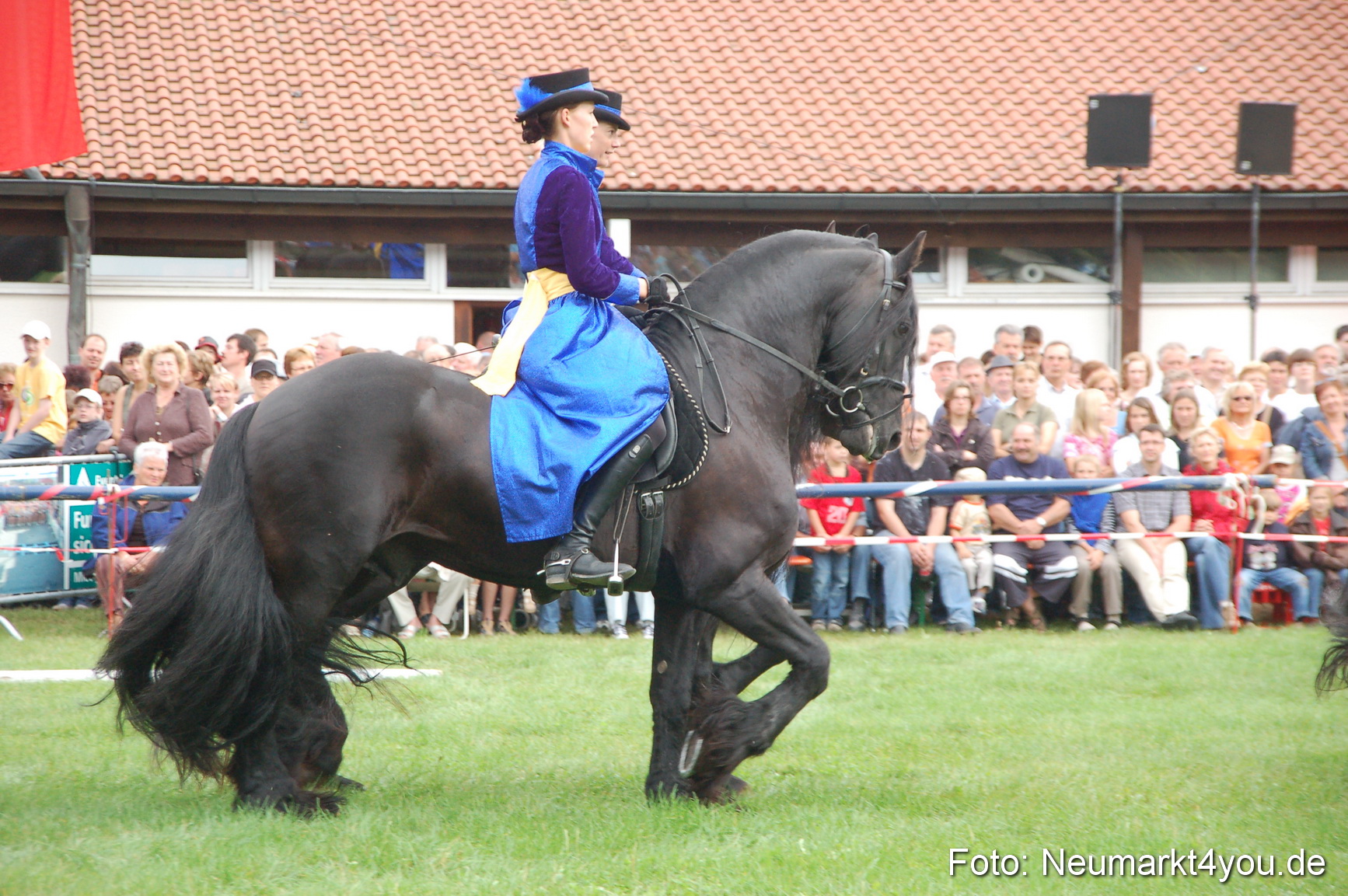 0096 Pferde Fohlenschau 200807