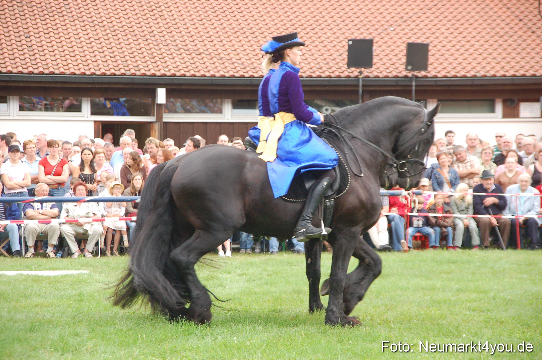 0097 Pferde Fohlenschau 200807