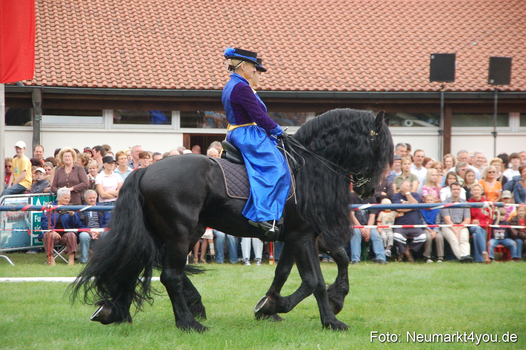 0098 Pferde Fohlenschau 200807