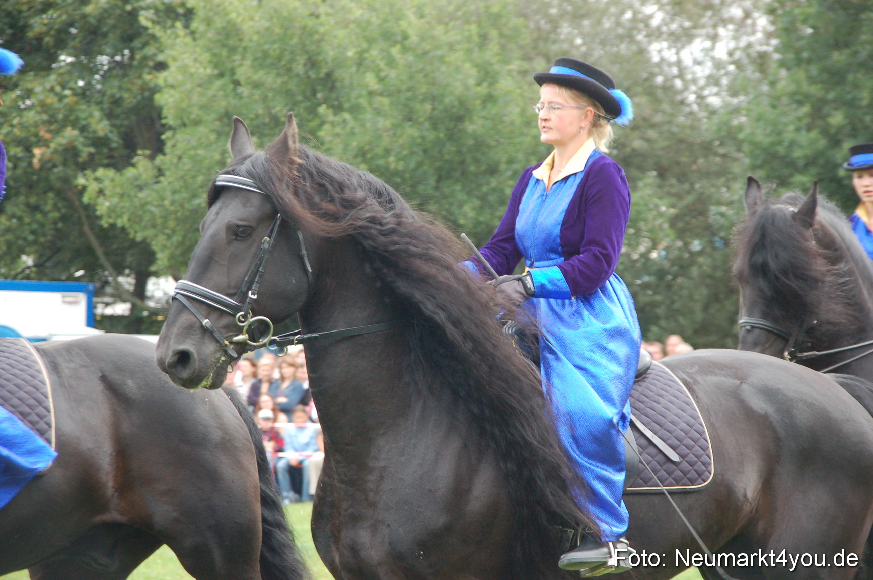 0100 Pferde Fohlenschau 200807