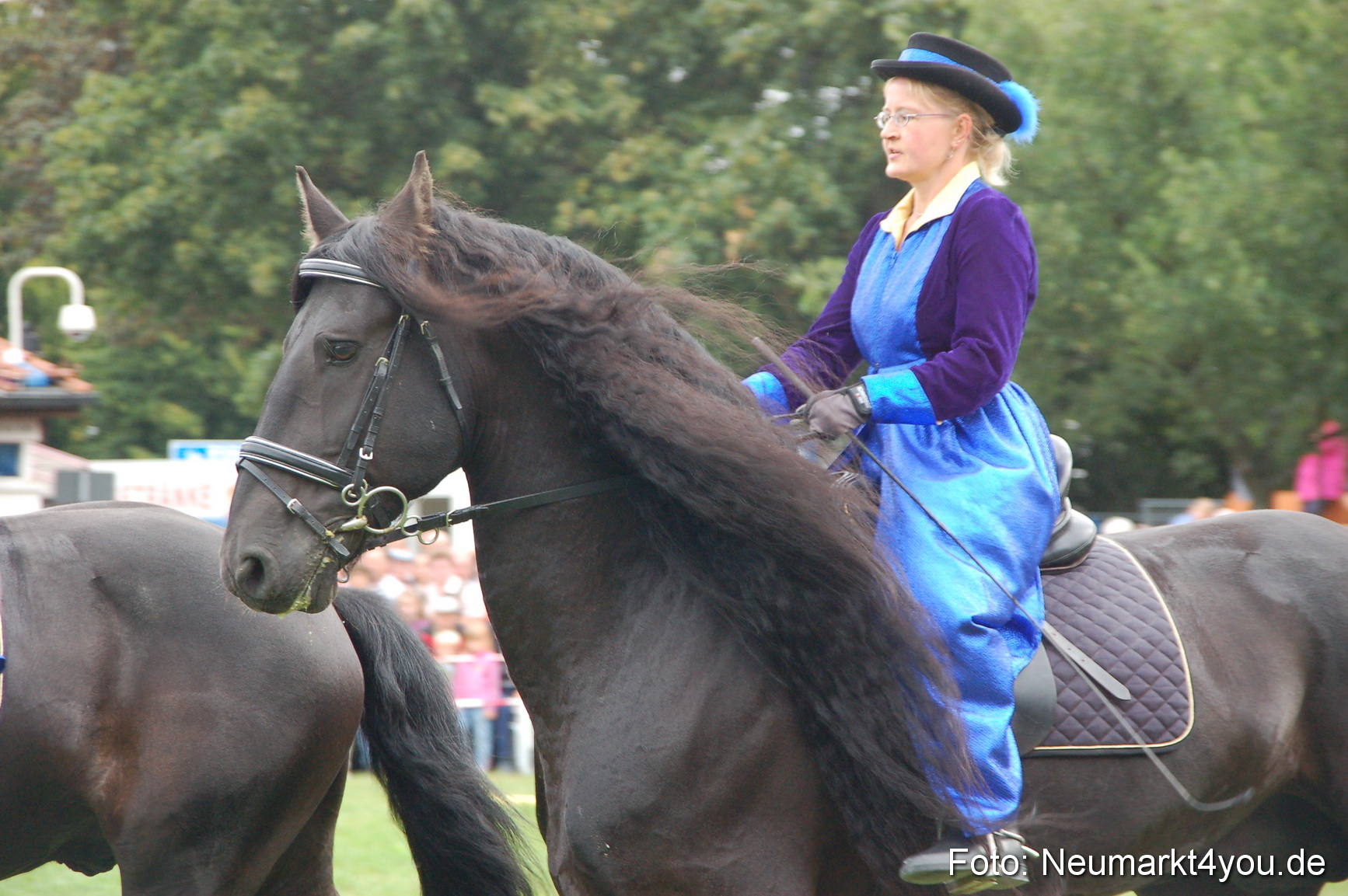 0101 Pferde Fohlenschau 200807