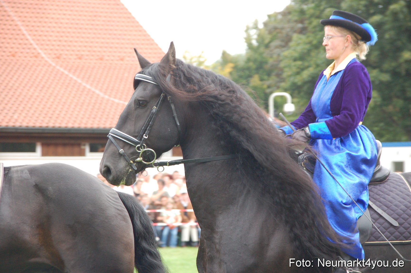 0102 Pferde Fohlenschau 200807