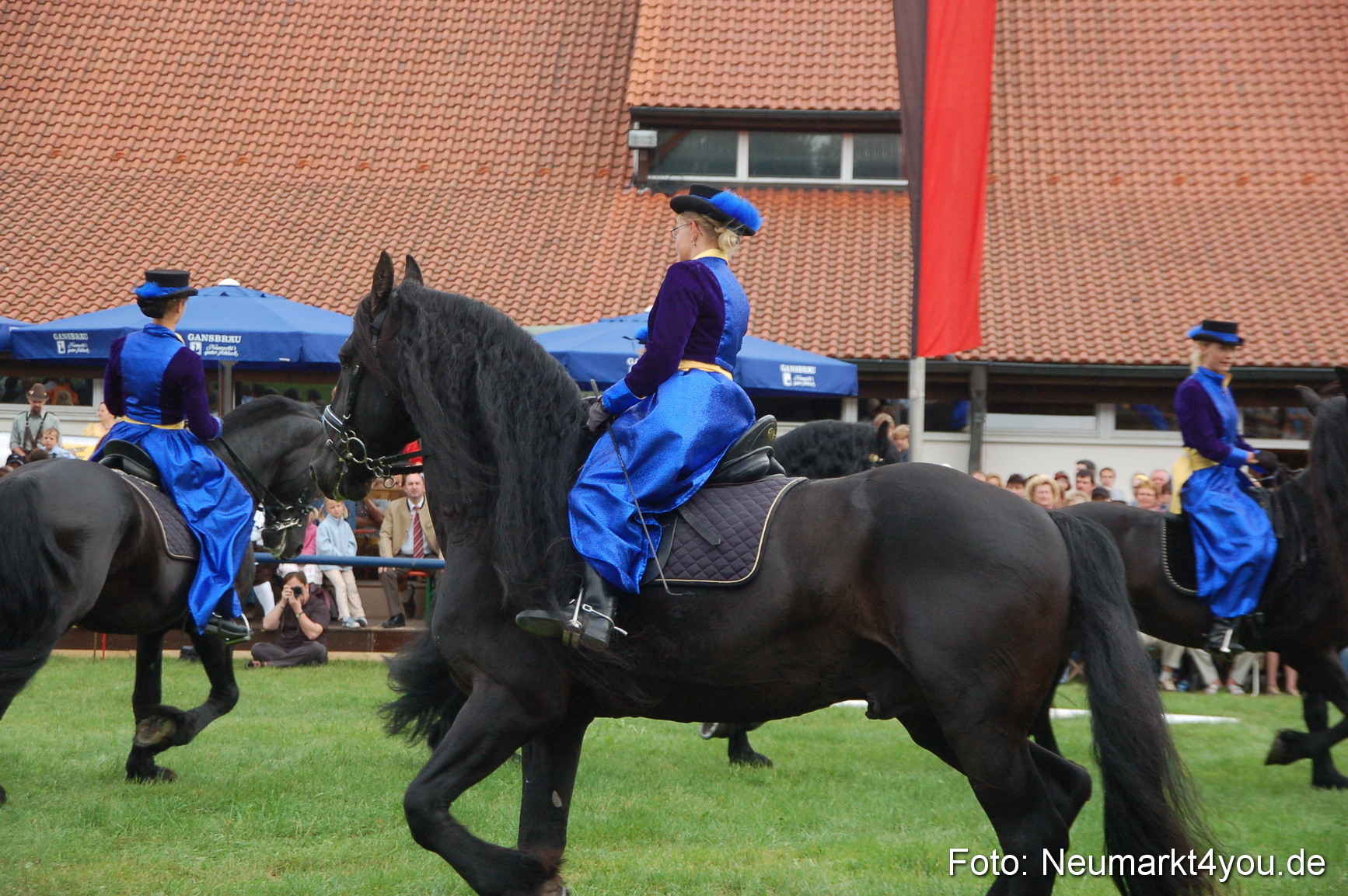 0103 Pferde Fohlenschau 200807