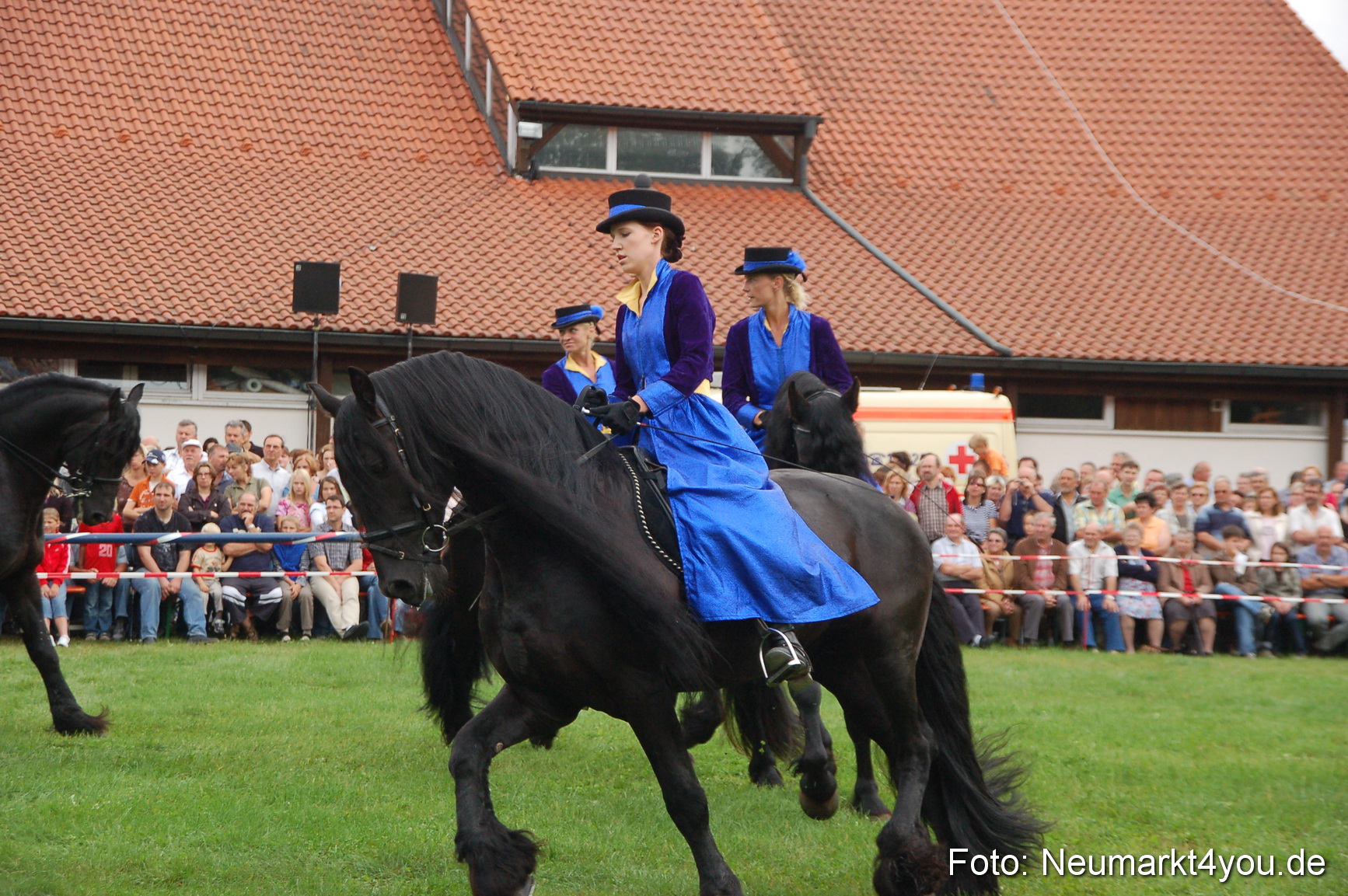 0104 Pferde Fohlenschau 200807