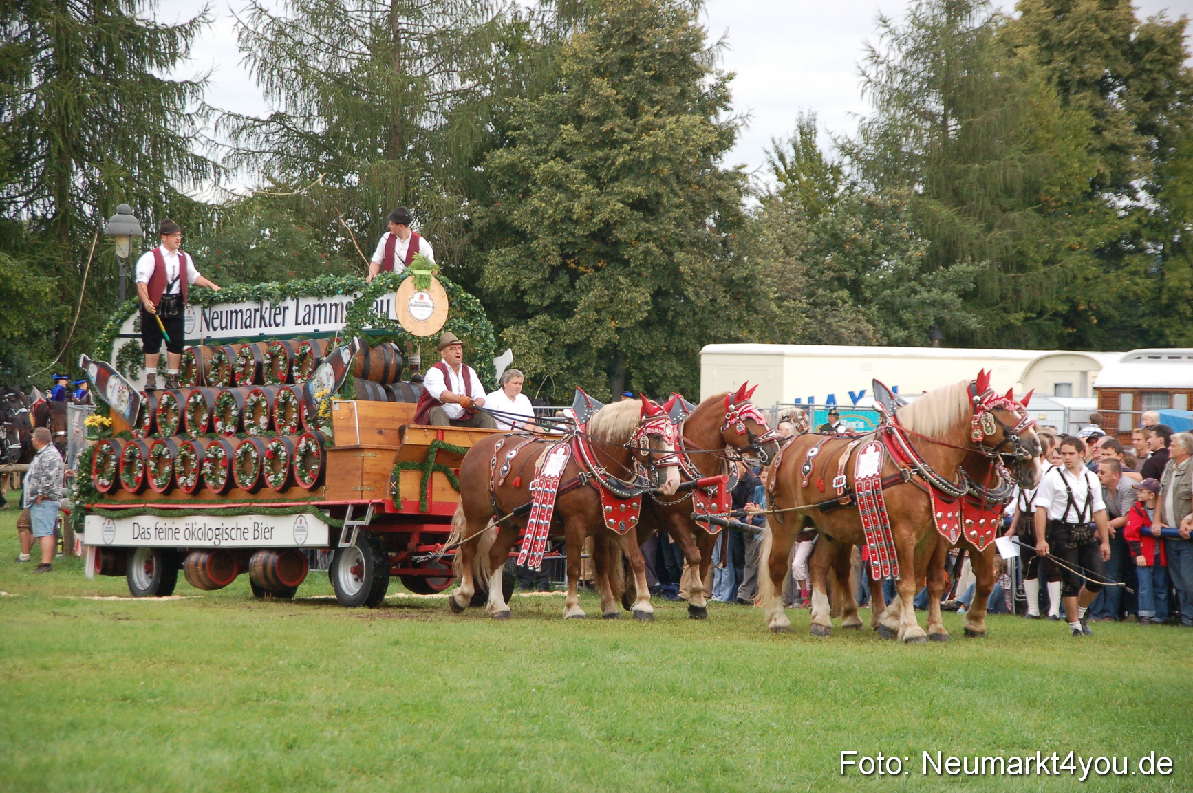 0107 Pferde Fohlenschau 200807