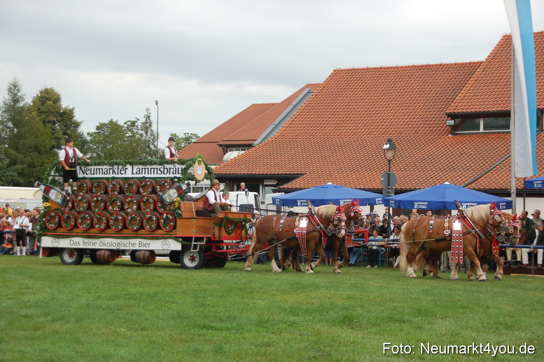 0108 Pferde Fohlenschau 200807