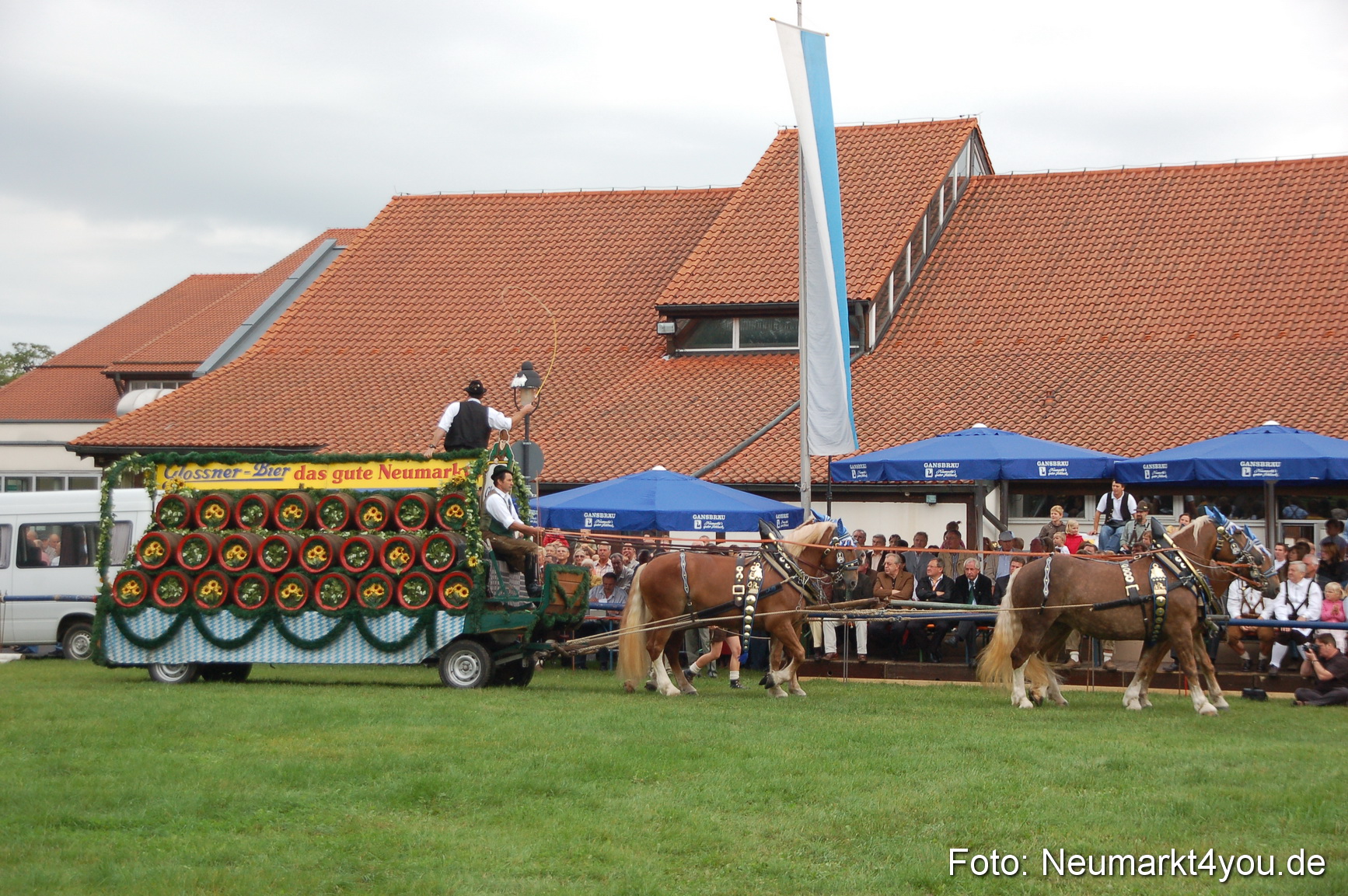 0112 Pferde Fohlenschau 200807