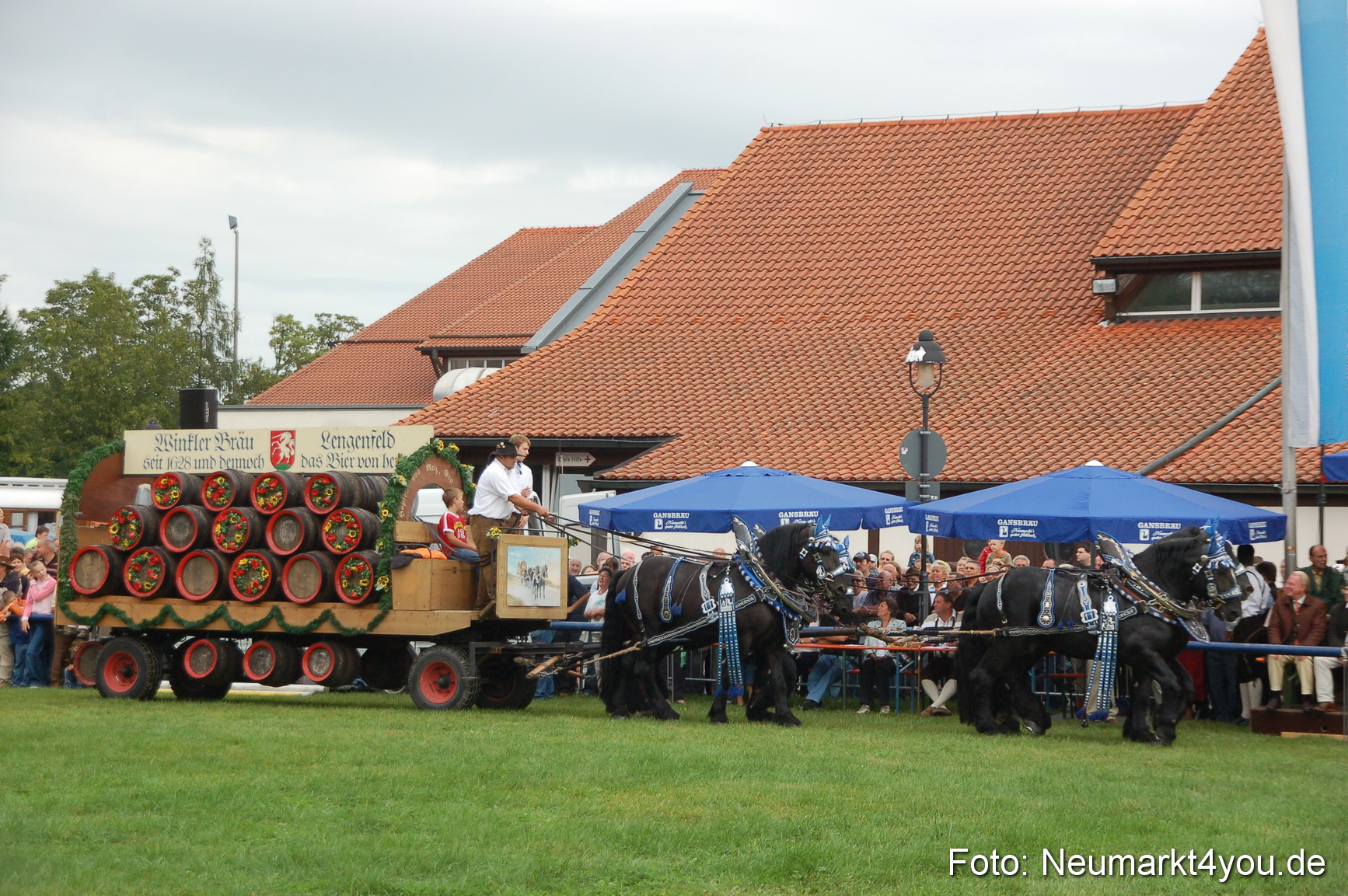 0114 Pferde Fohlenschau 200807