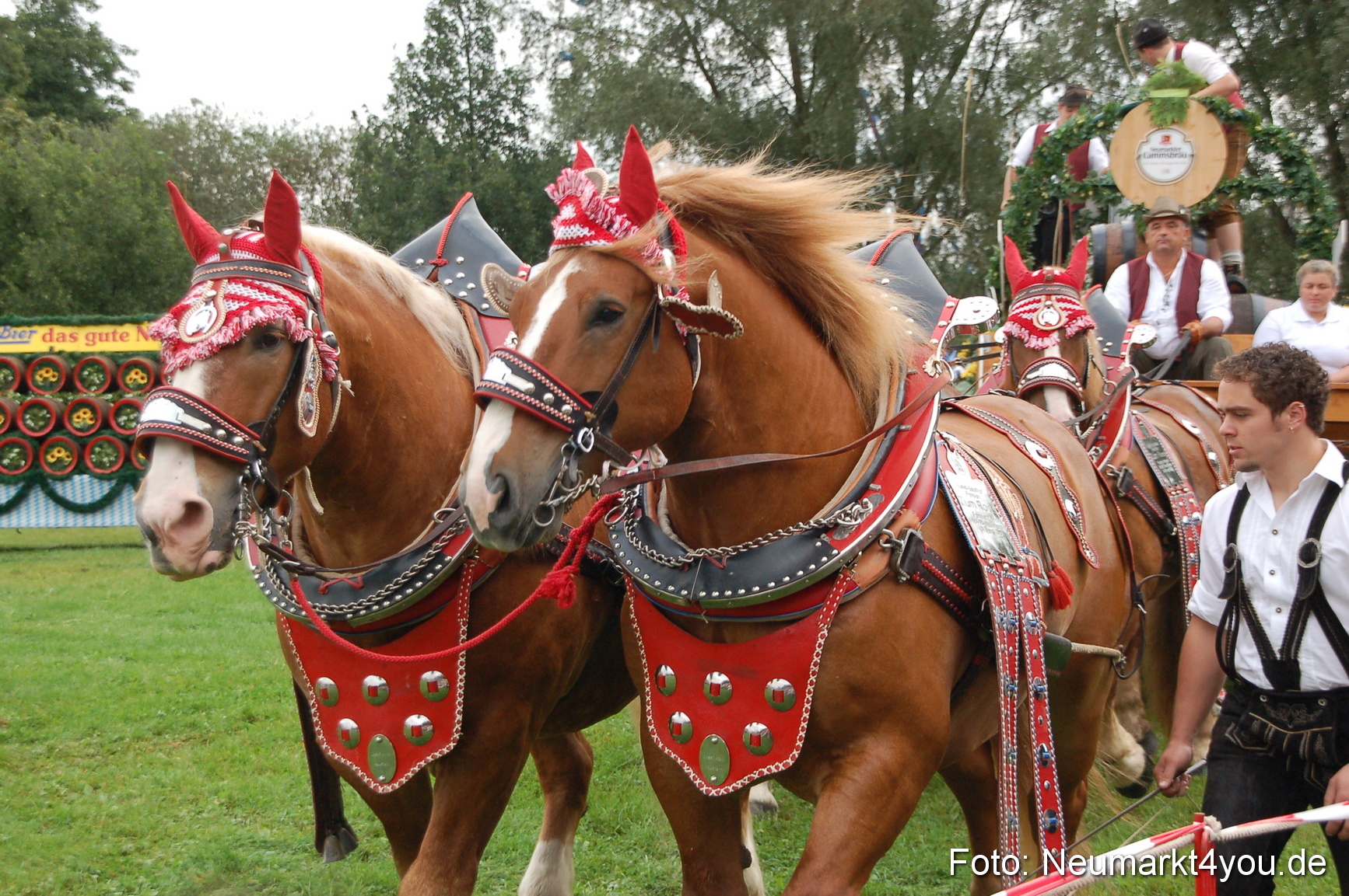 0115 Pferde Fohlenschau 200807