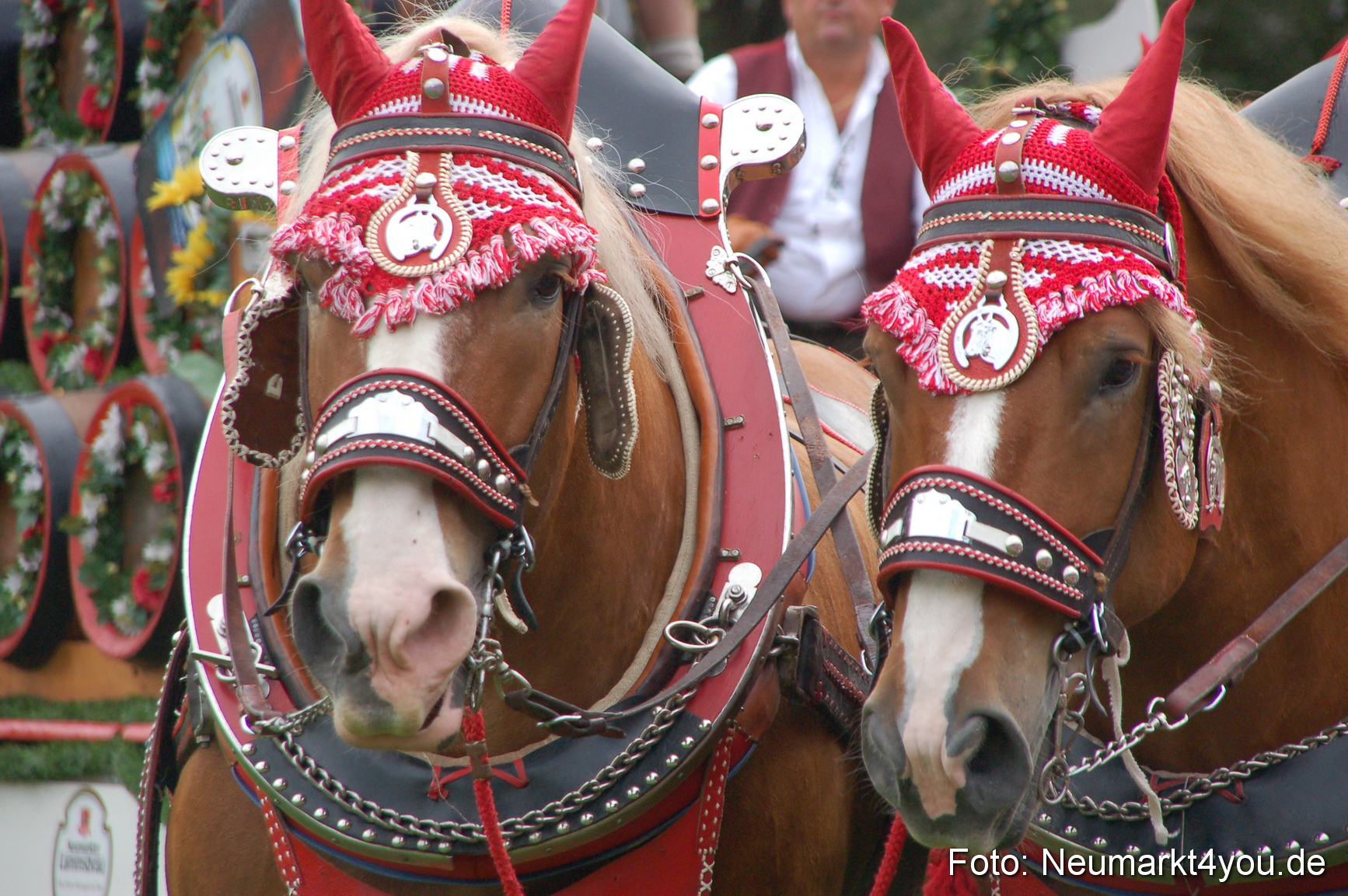 0130 Pferde Fohlenschau 200807