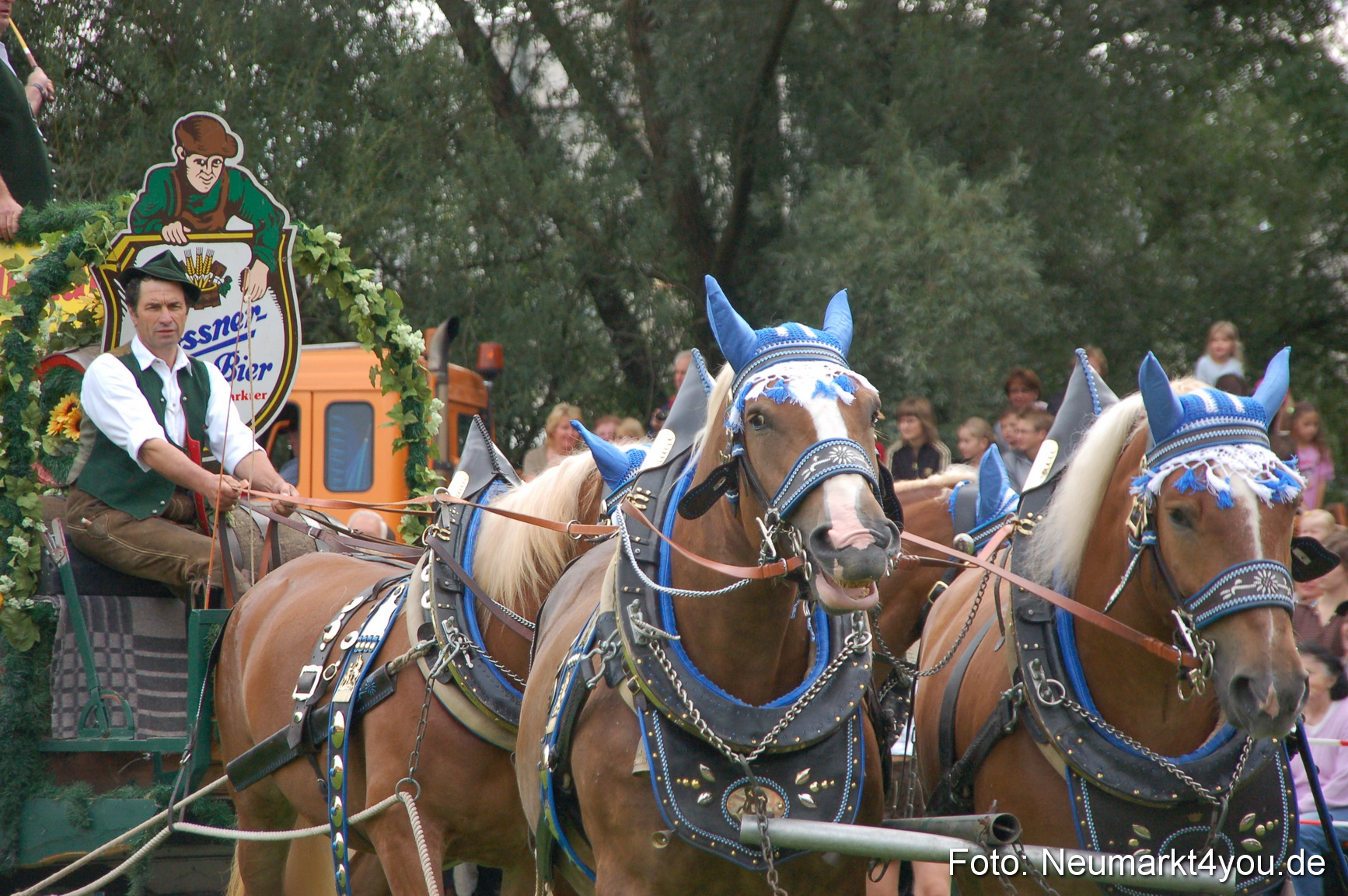 0132 Pferde Fohlenschau 200807