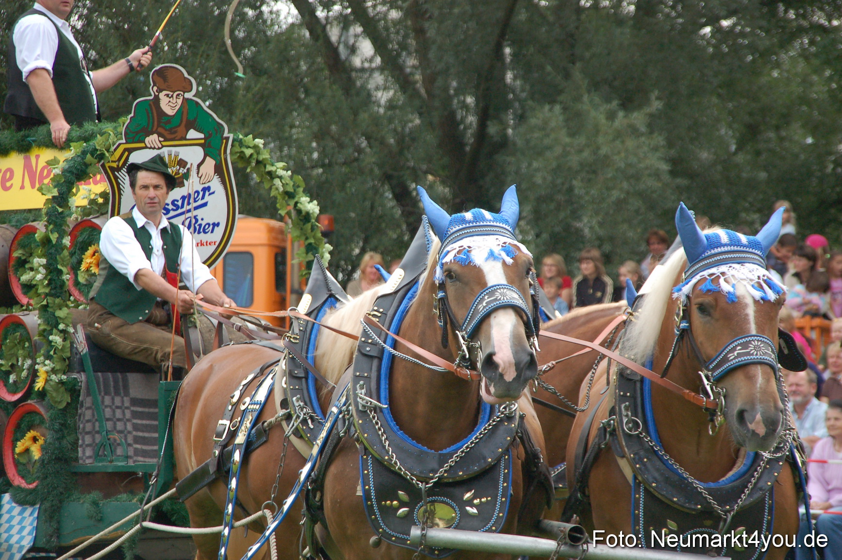 0133 Pferde Fohlenschau 200807