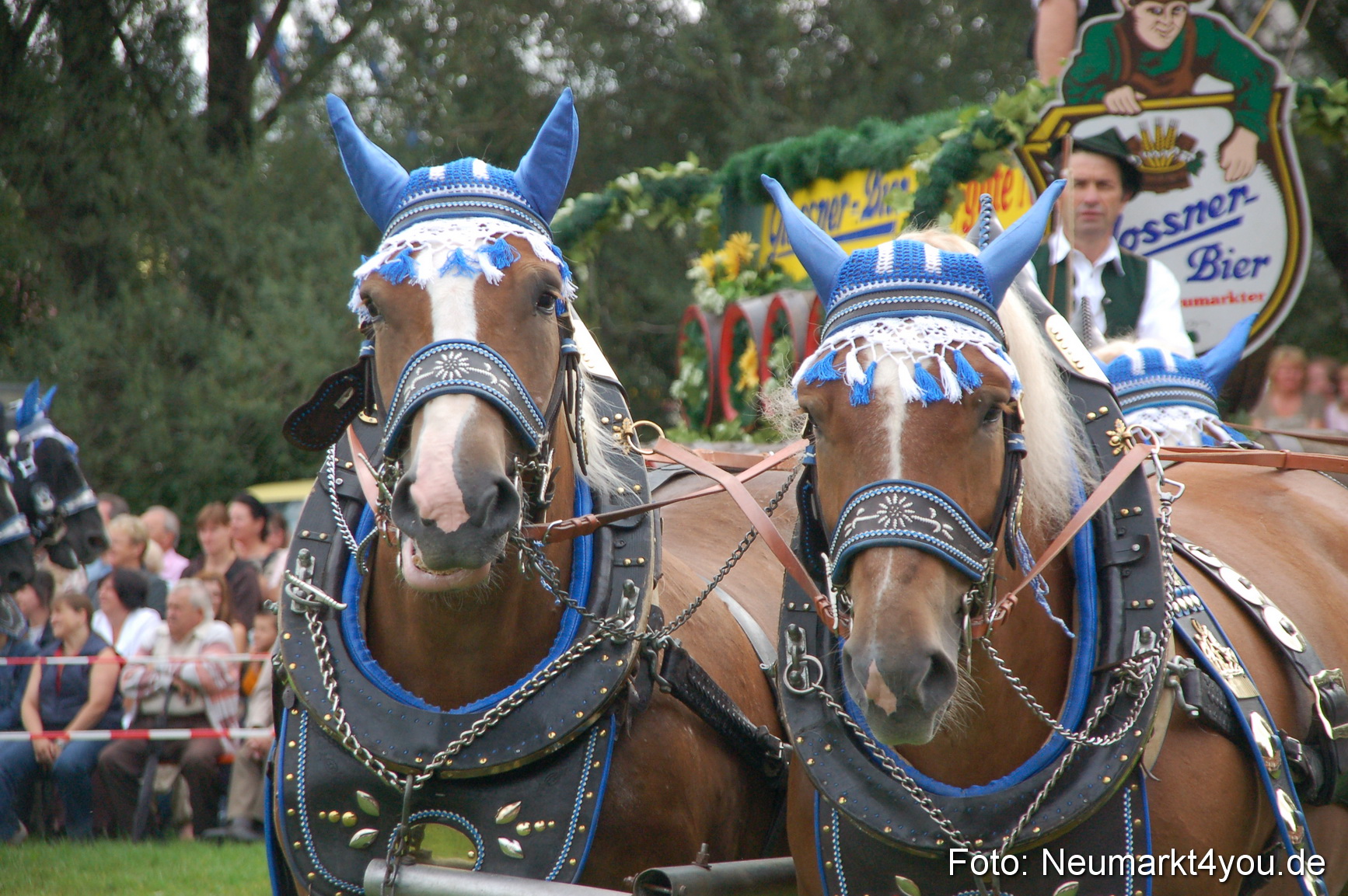 0134 Pferde Fohlenschau 200807