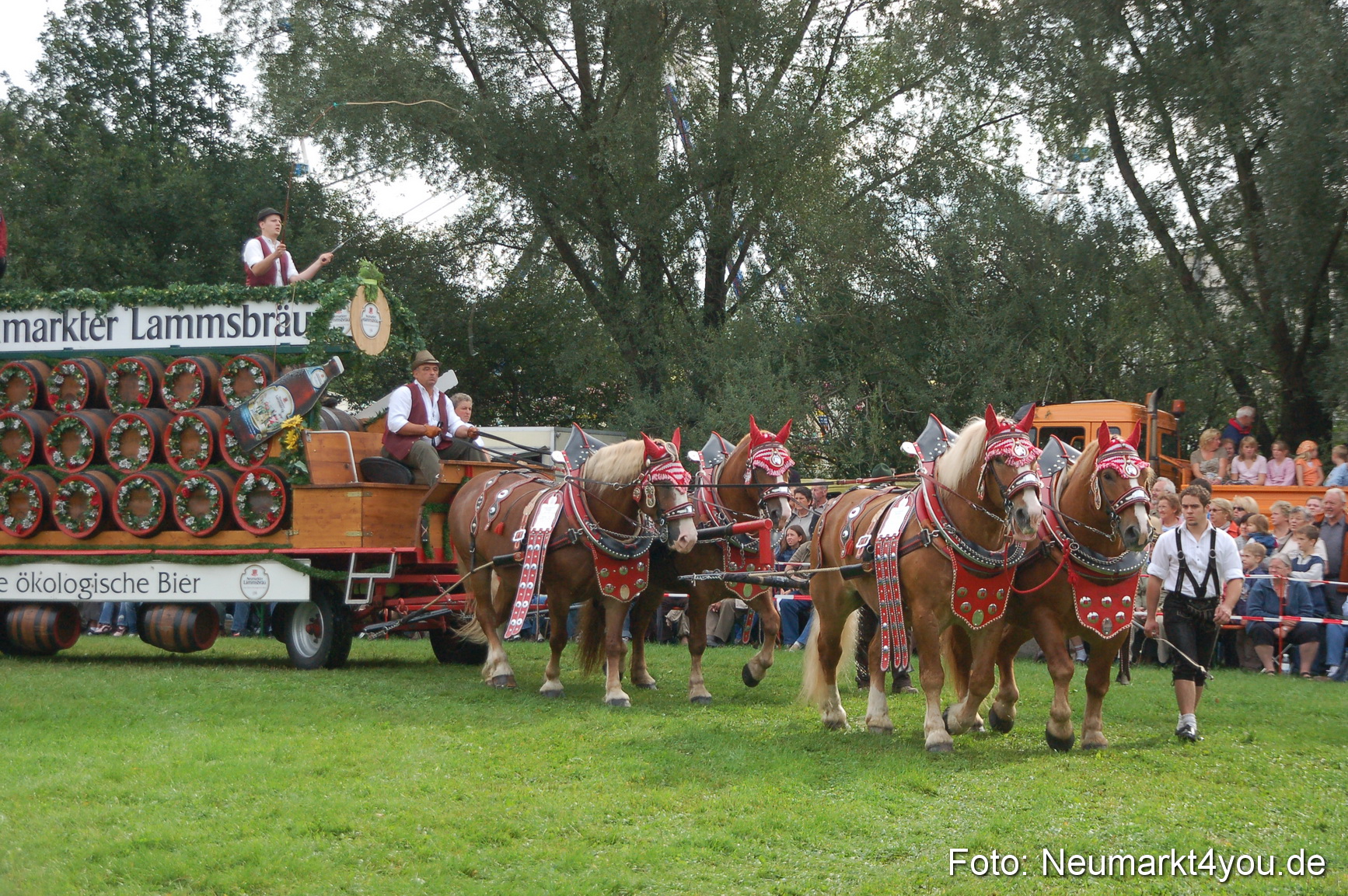 0141 Pferde Fohlenschau 200807
