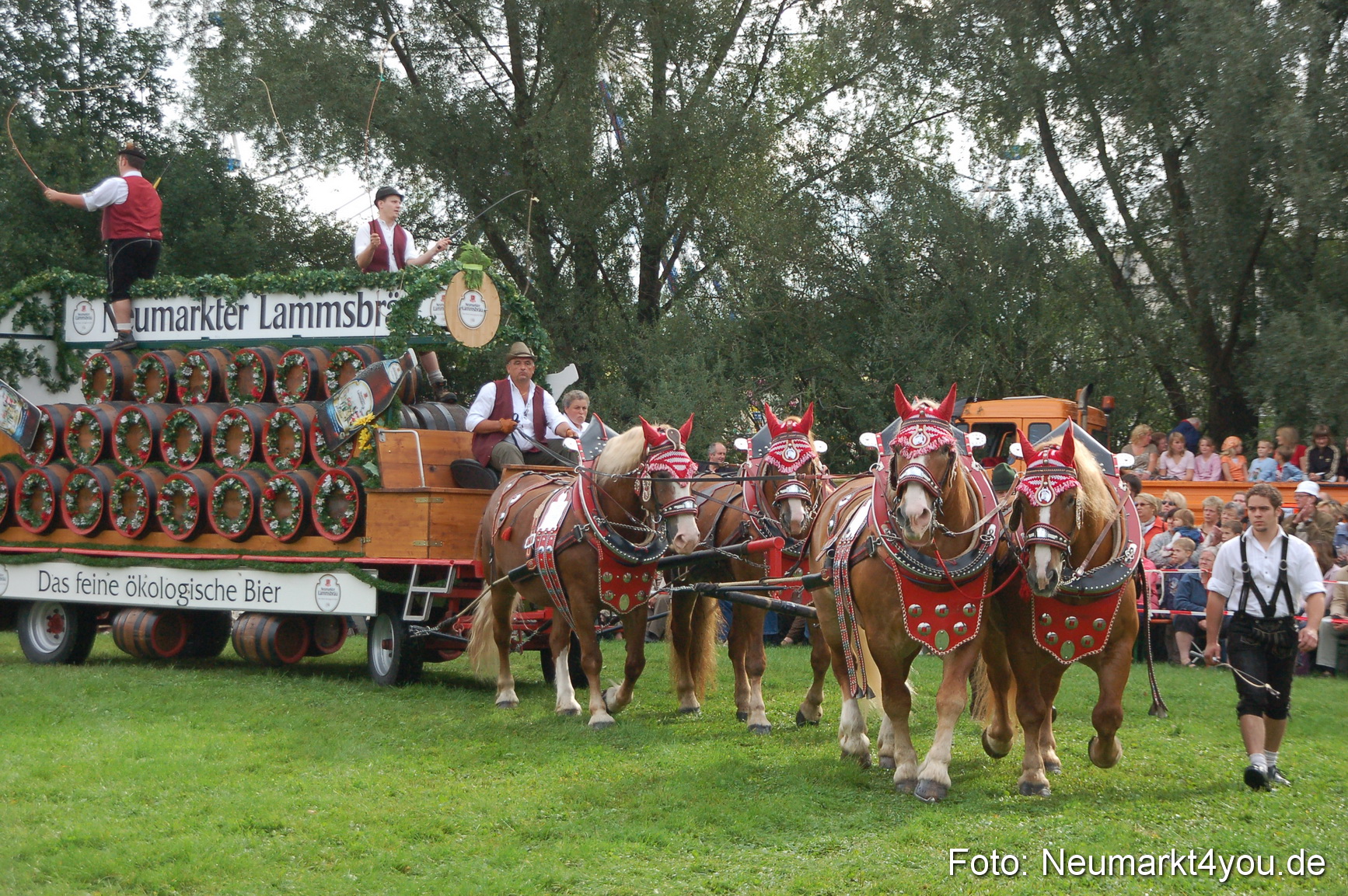 0142 Pferde Fohlenschau 200807