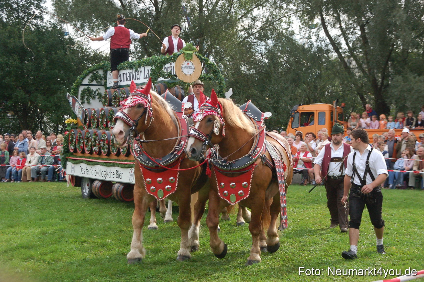 0143 Pferde Fohlenschau 200807