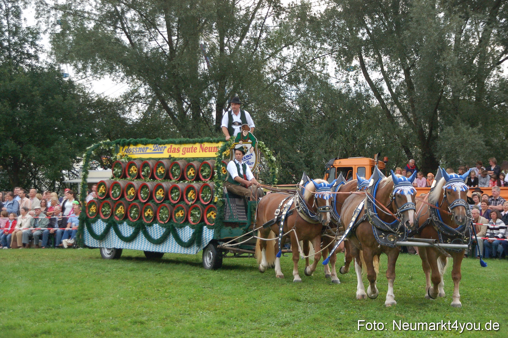 0145 Pferde Fohlenschau 200807
