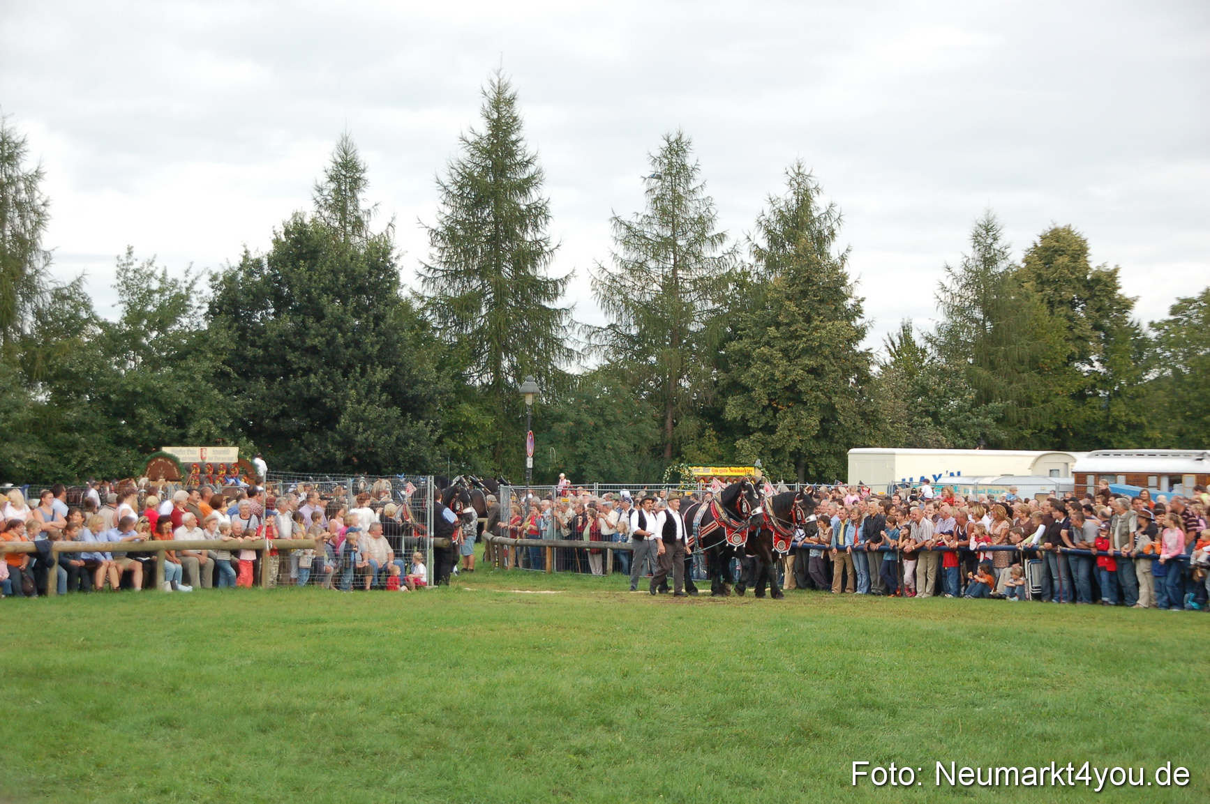 0147 Pferde Fohlenschau 200807