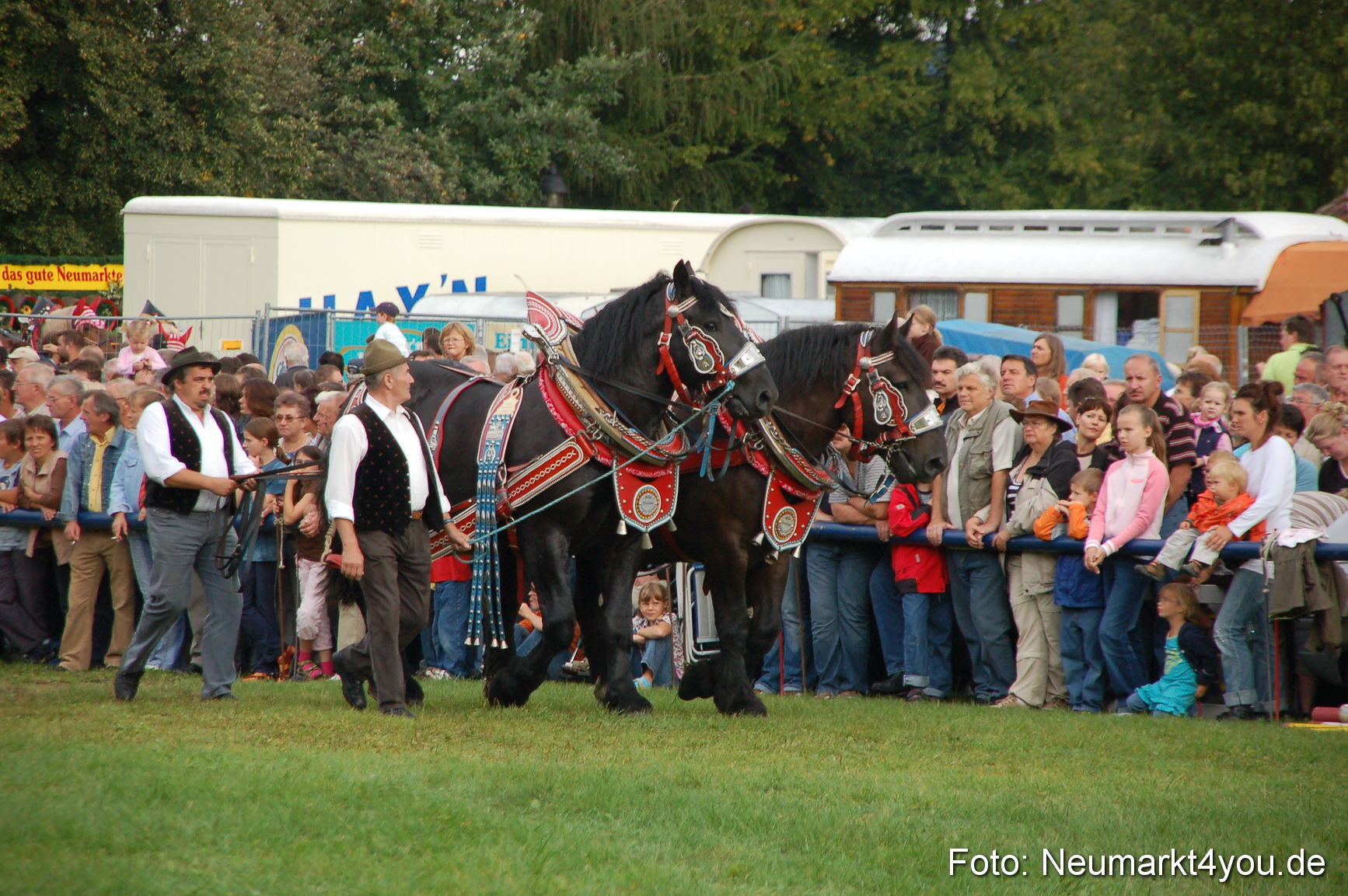 0148 Pferde Fohlenschau 200807