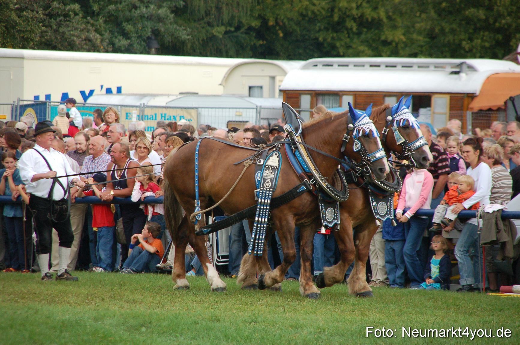 0150 Pferde Fohlenschau 200807