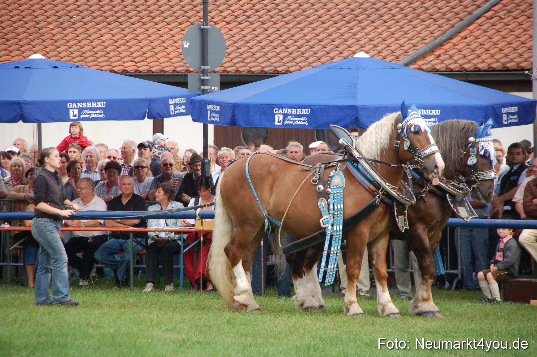 0152 Pferde Fohlenschau 200807