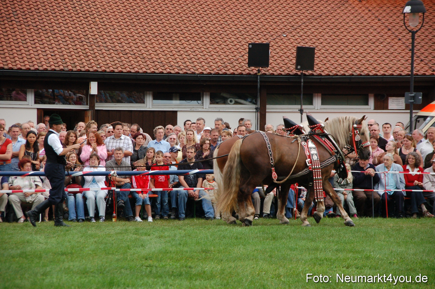 0169 Pferde Fohlenschau 200807
