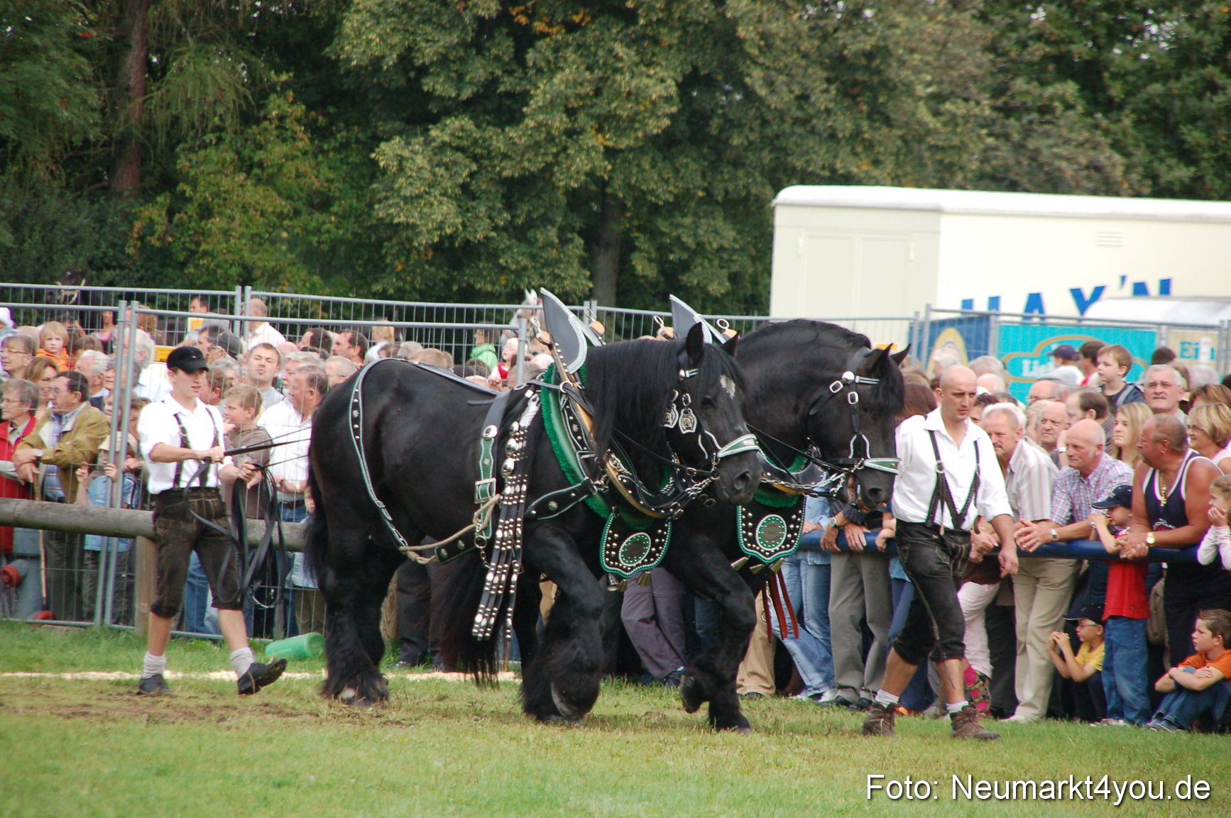 0170 Pferde Fohlenschau 200807