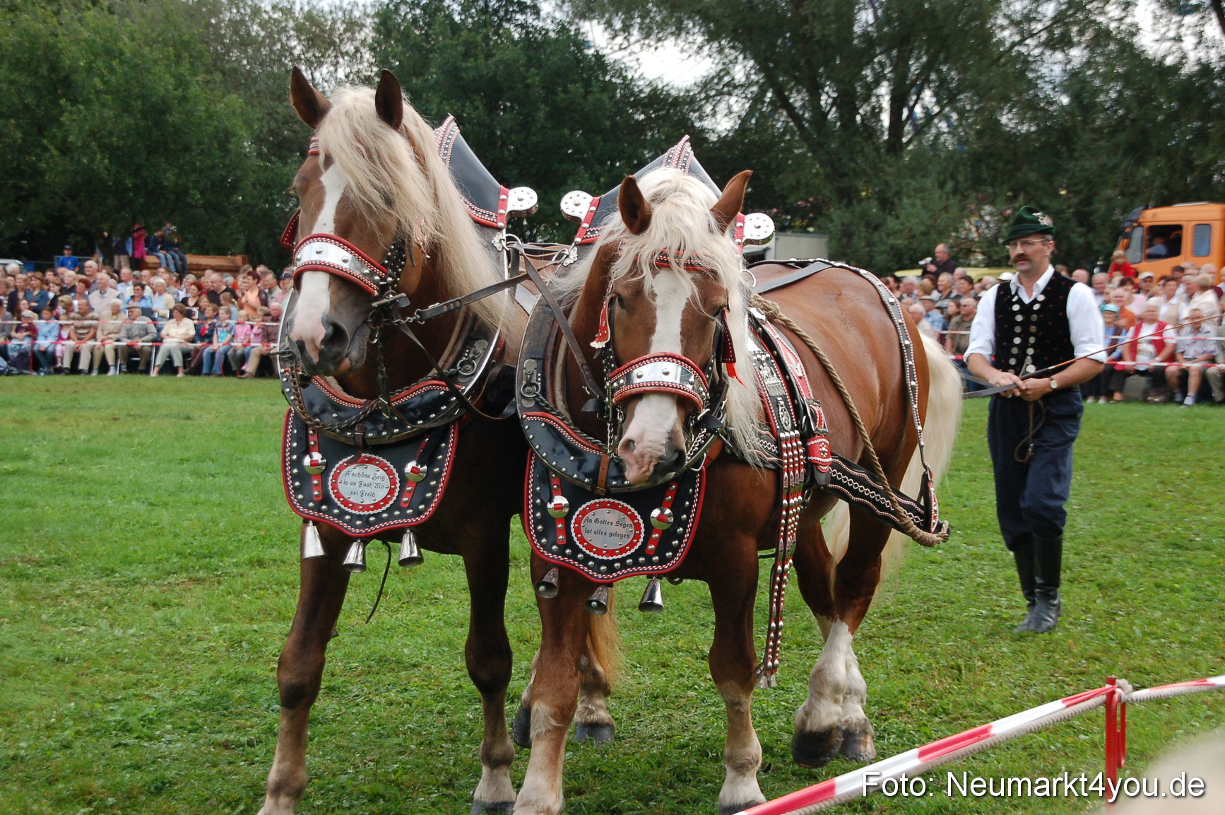 0171 Pferde Fohlenschau 200807