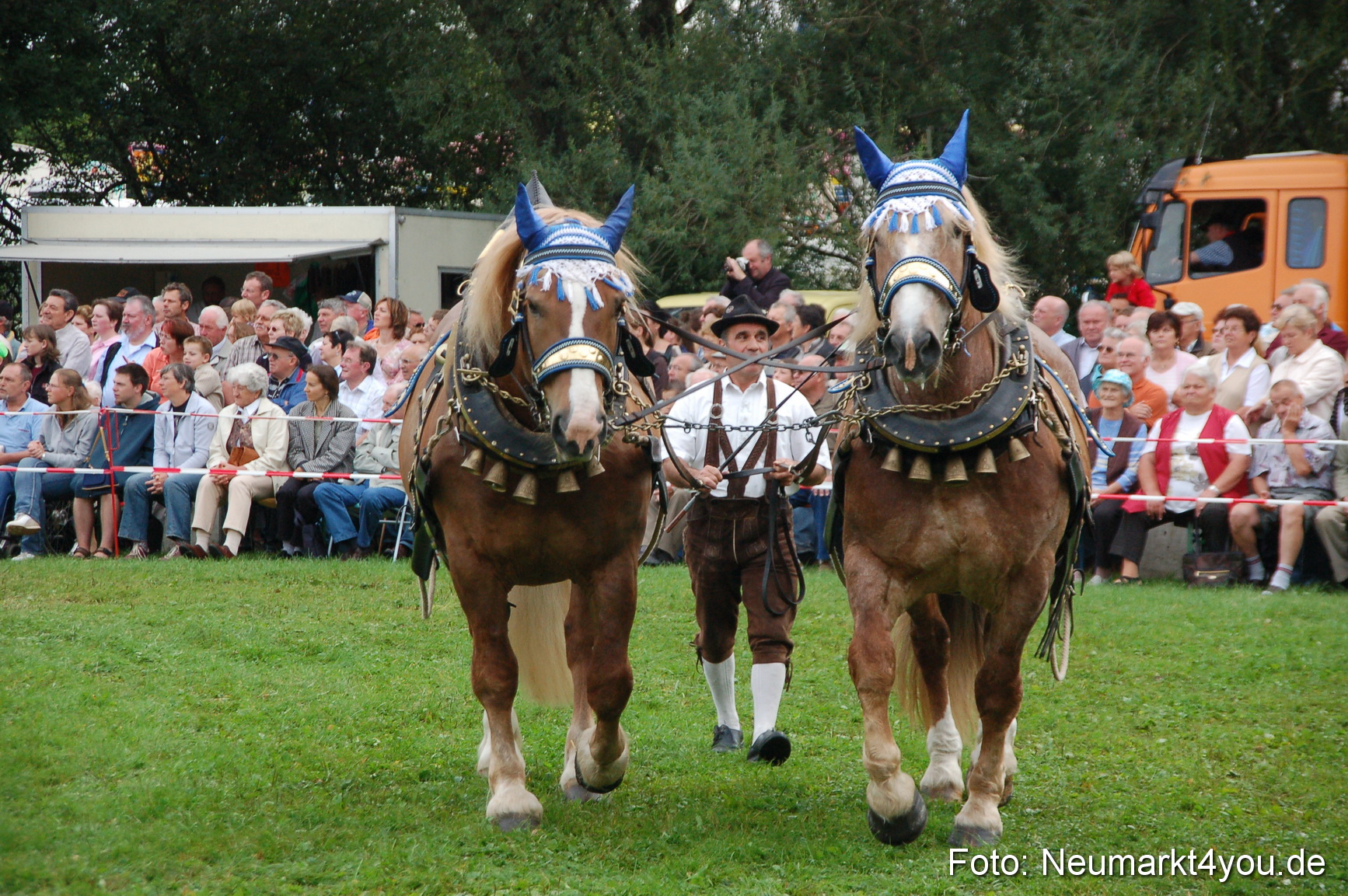 0172 Pferde Fohlenschau 200807