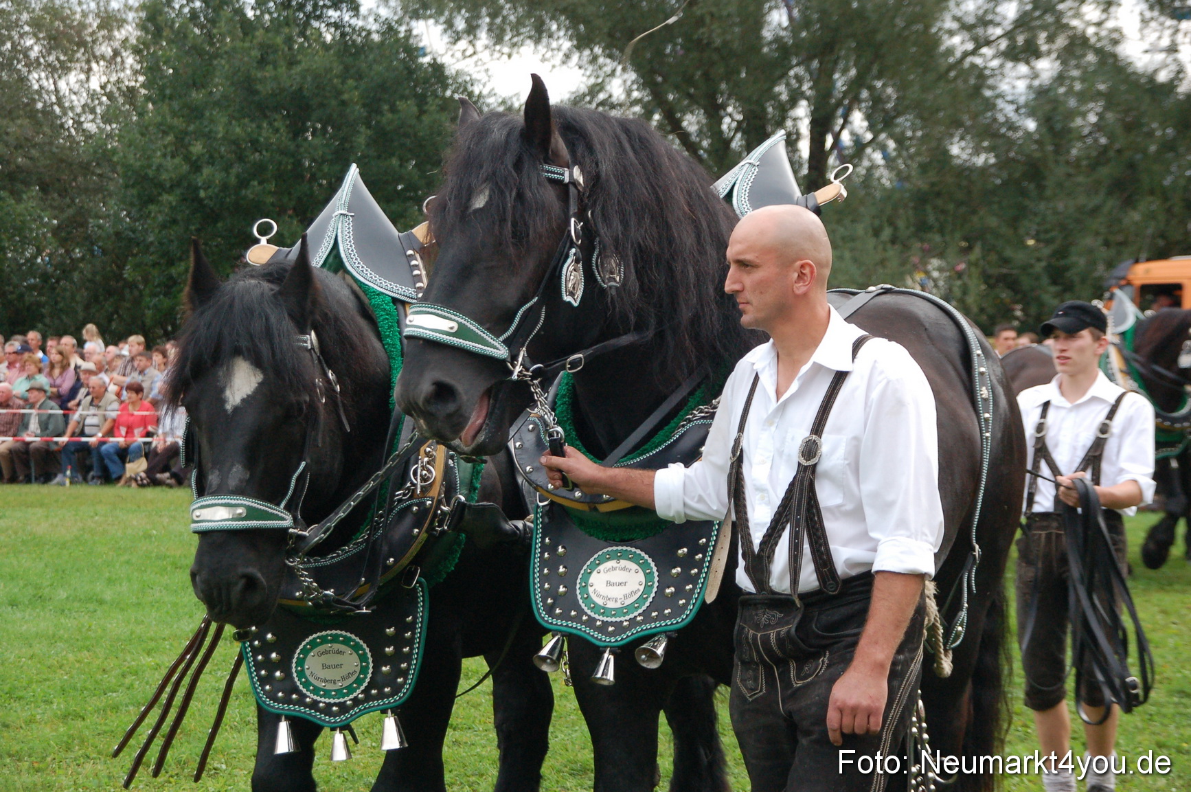 0174 Pferde Fohlenschau 200807
