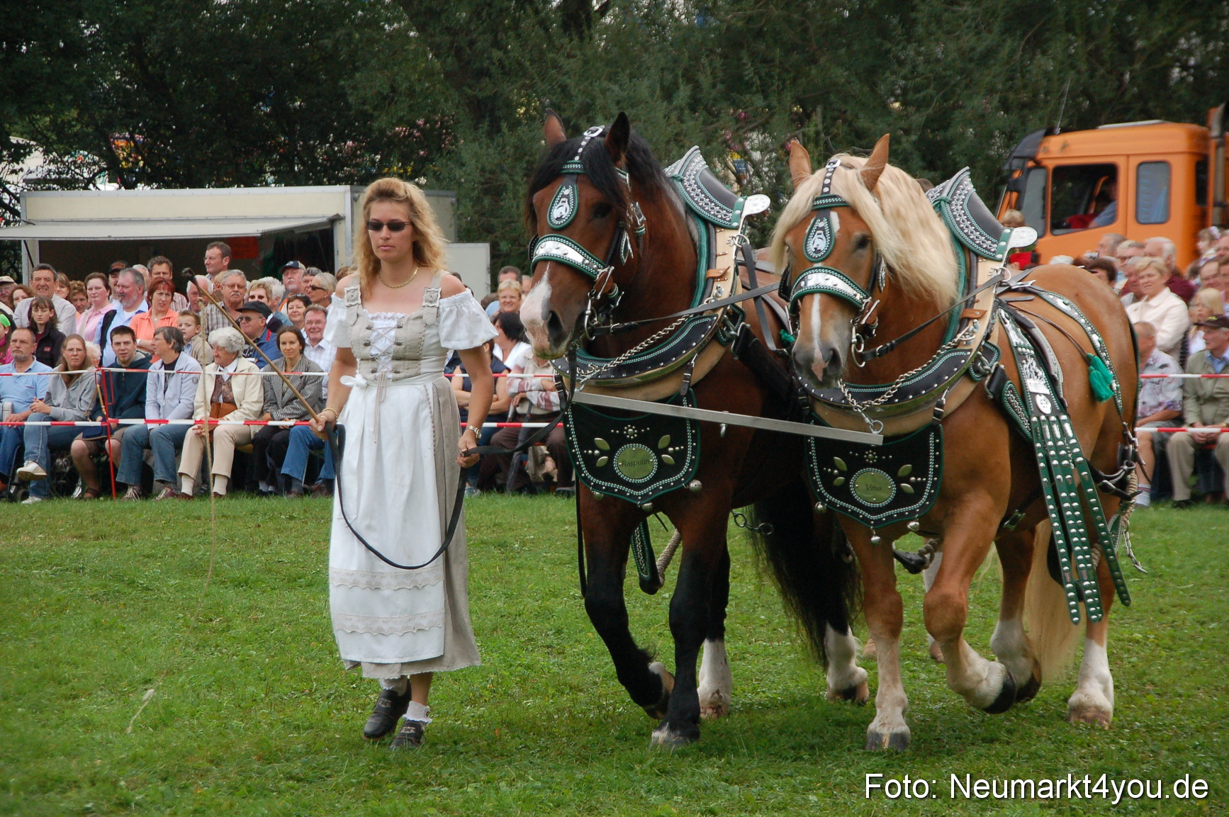 0182 Pferde Fohlenschau 200807