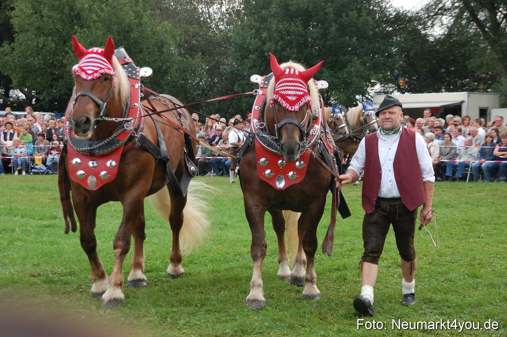 0183 Pferde Fohlenschau 200807