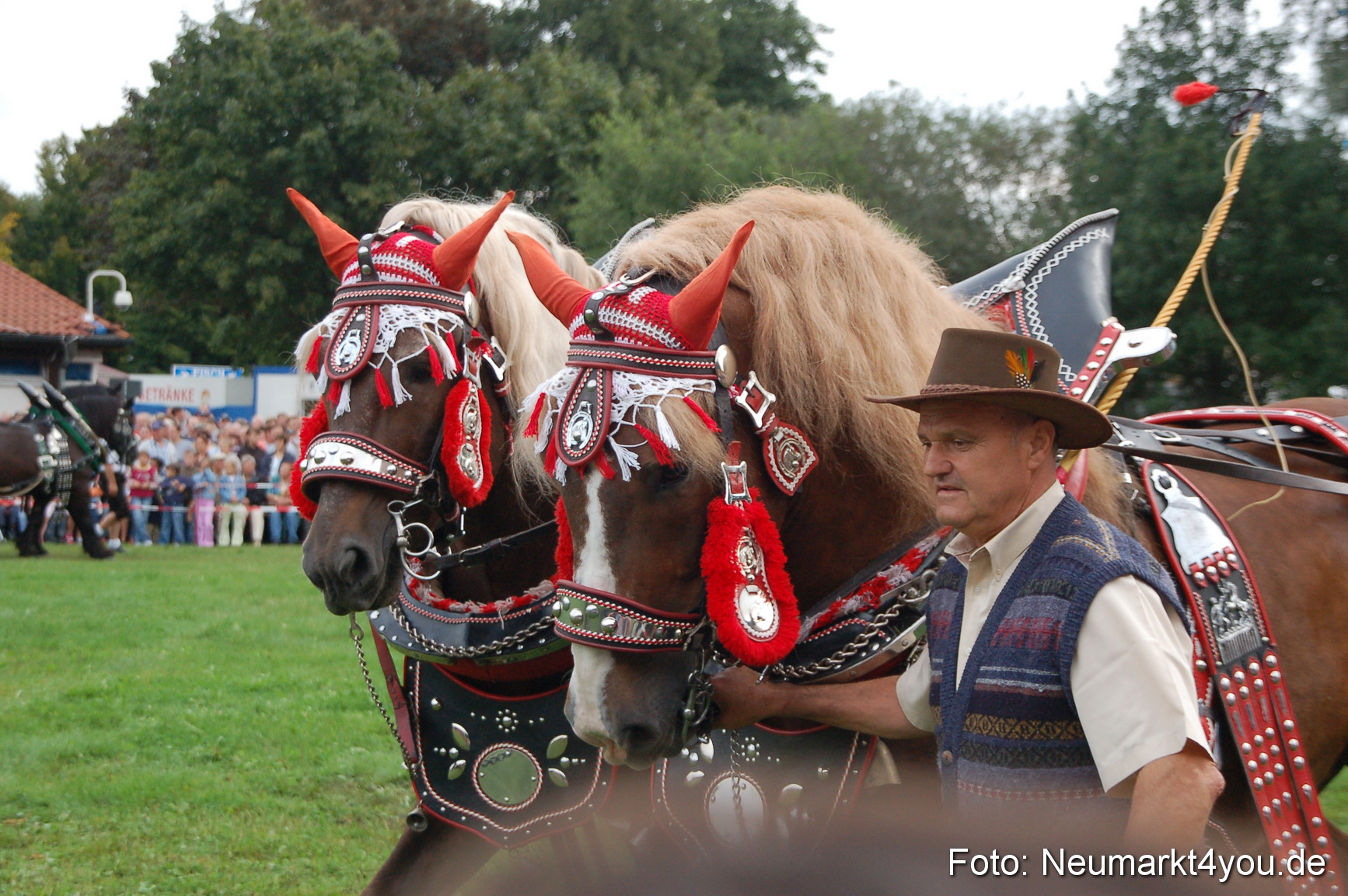 0185 Pferde Fohlenschau 200807
