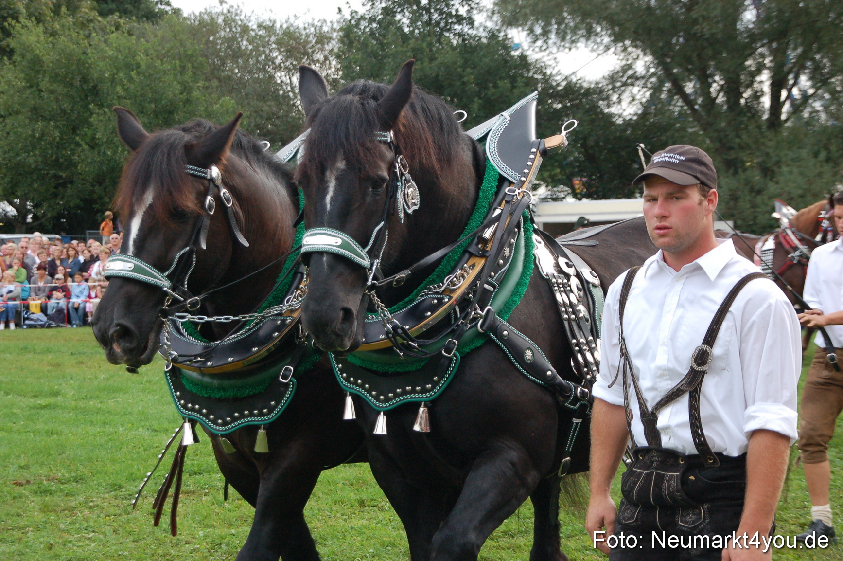 0186 Pferde Fohlenschau 200807