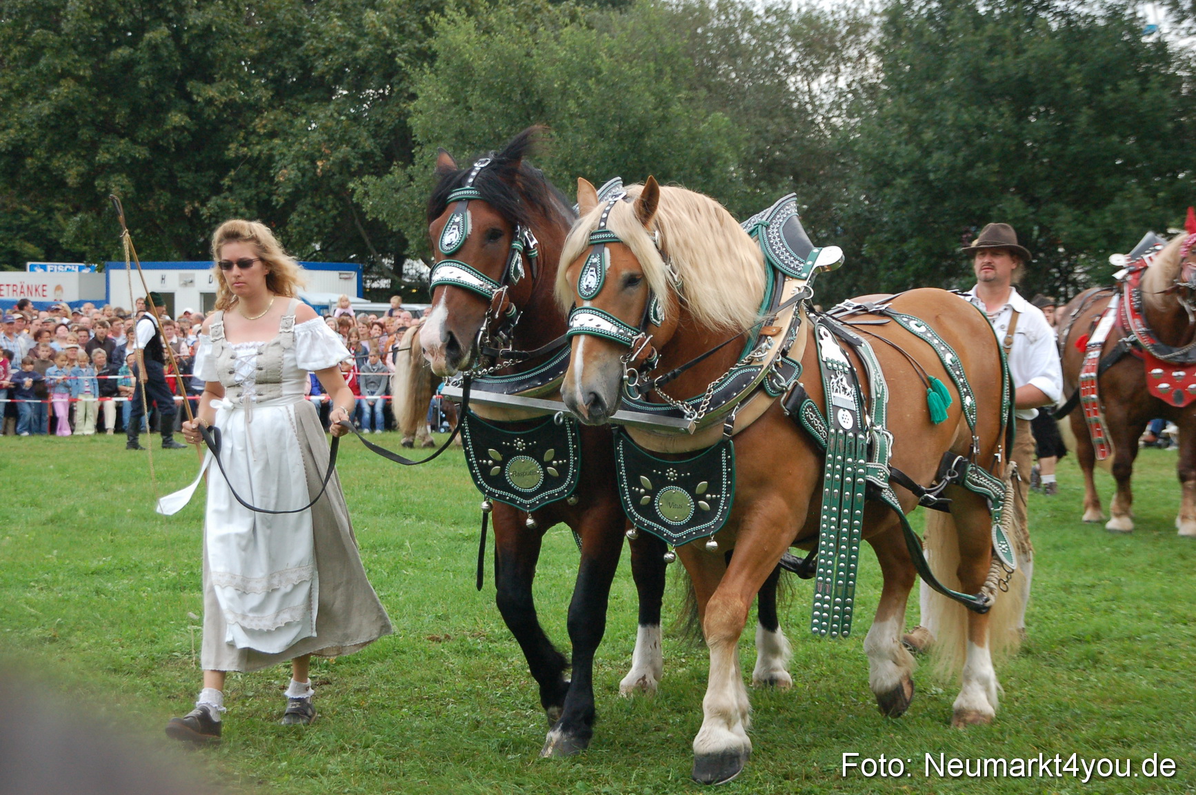0191 Pferde Fohlenschau 200807