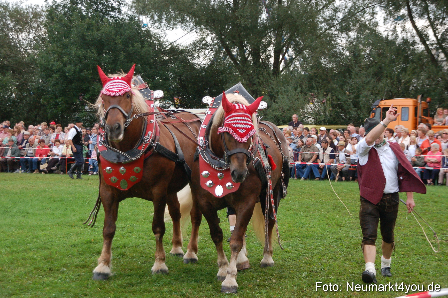 0192 Pferde Fohlenschau 200807