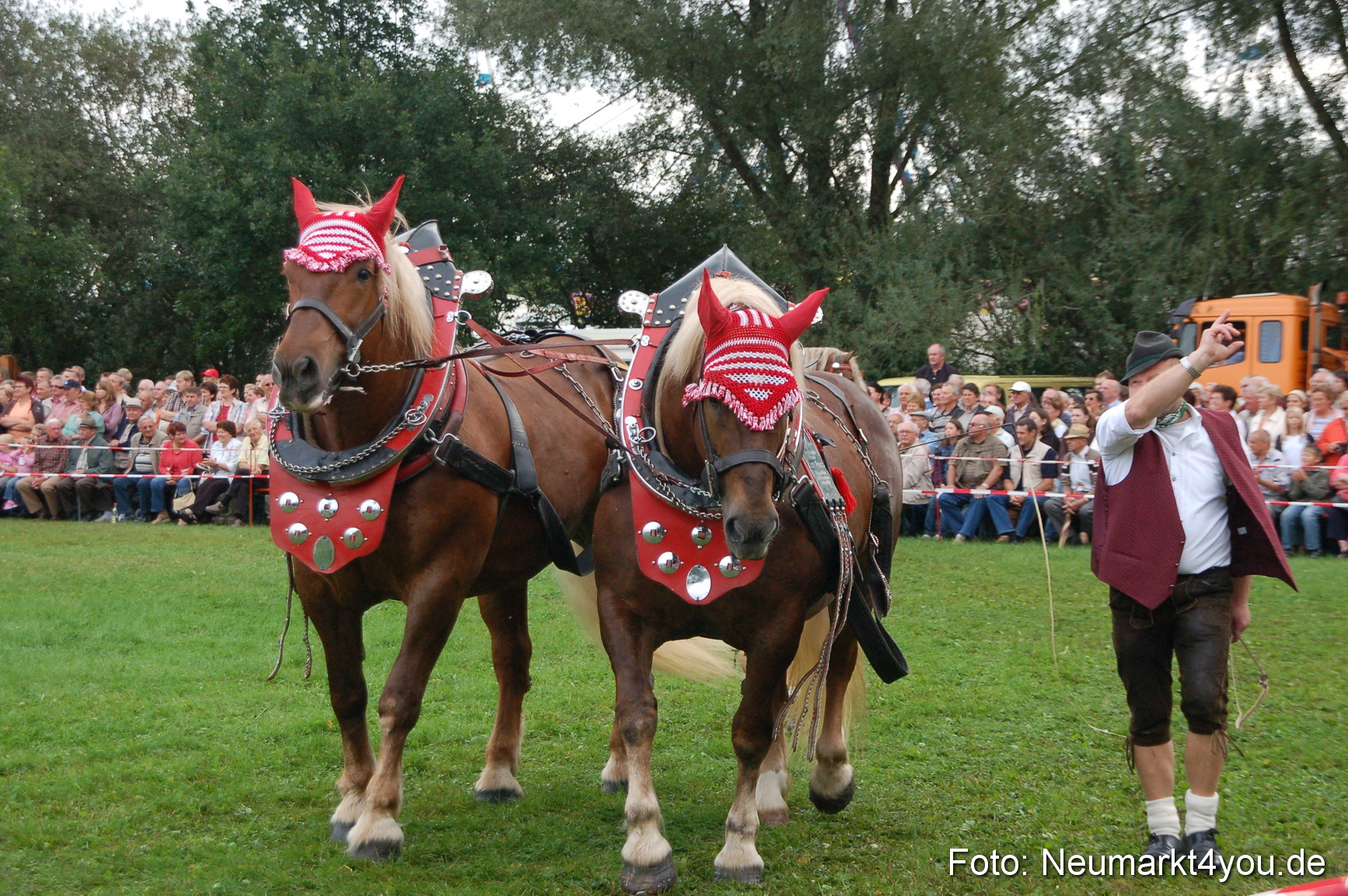 0193 Pferde Fohlenschau 200807