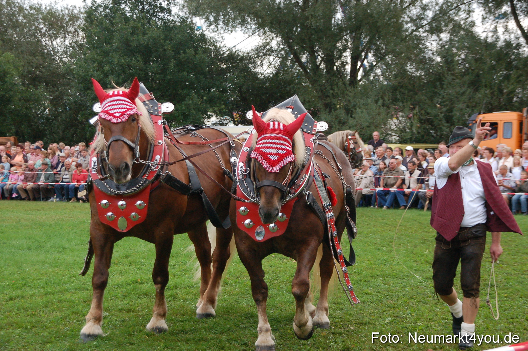 0194 Pferde Fohlenschau 200807