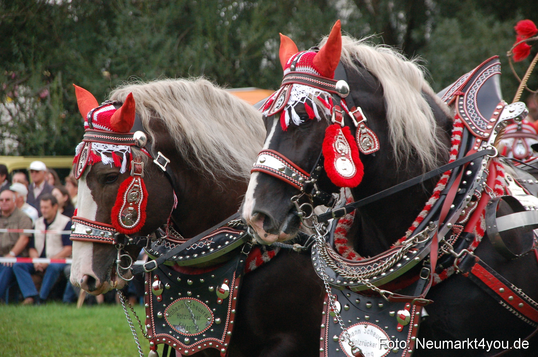 0196 Pferde Fohlenschau 200807