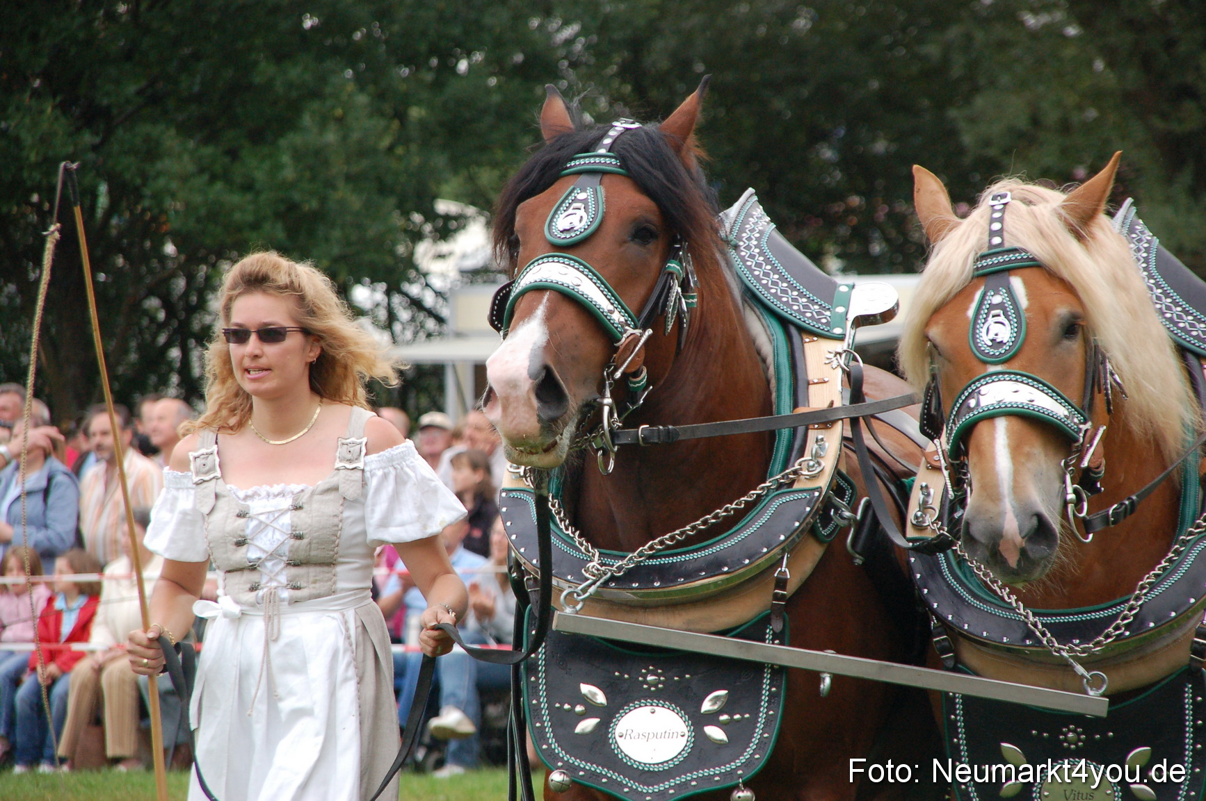0200 Pferde Fohlenschau 200807