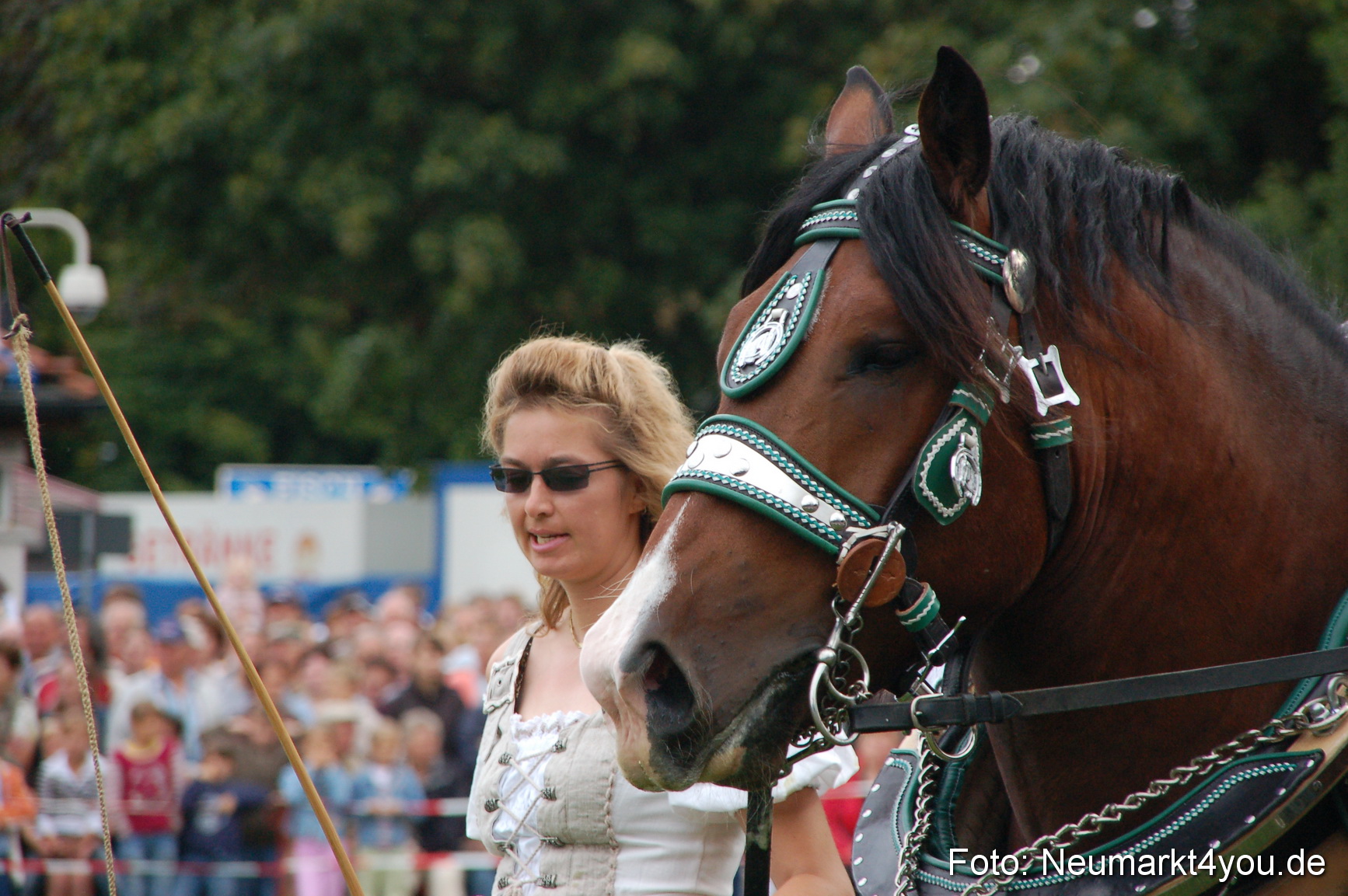 0201 Pferde Fohlenschau 200807